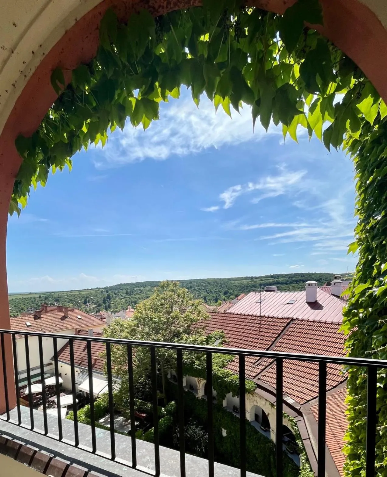 Apartment with Terrace - single occupancy in Palác Daun - Studio Apartments