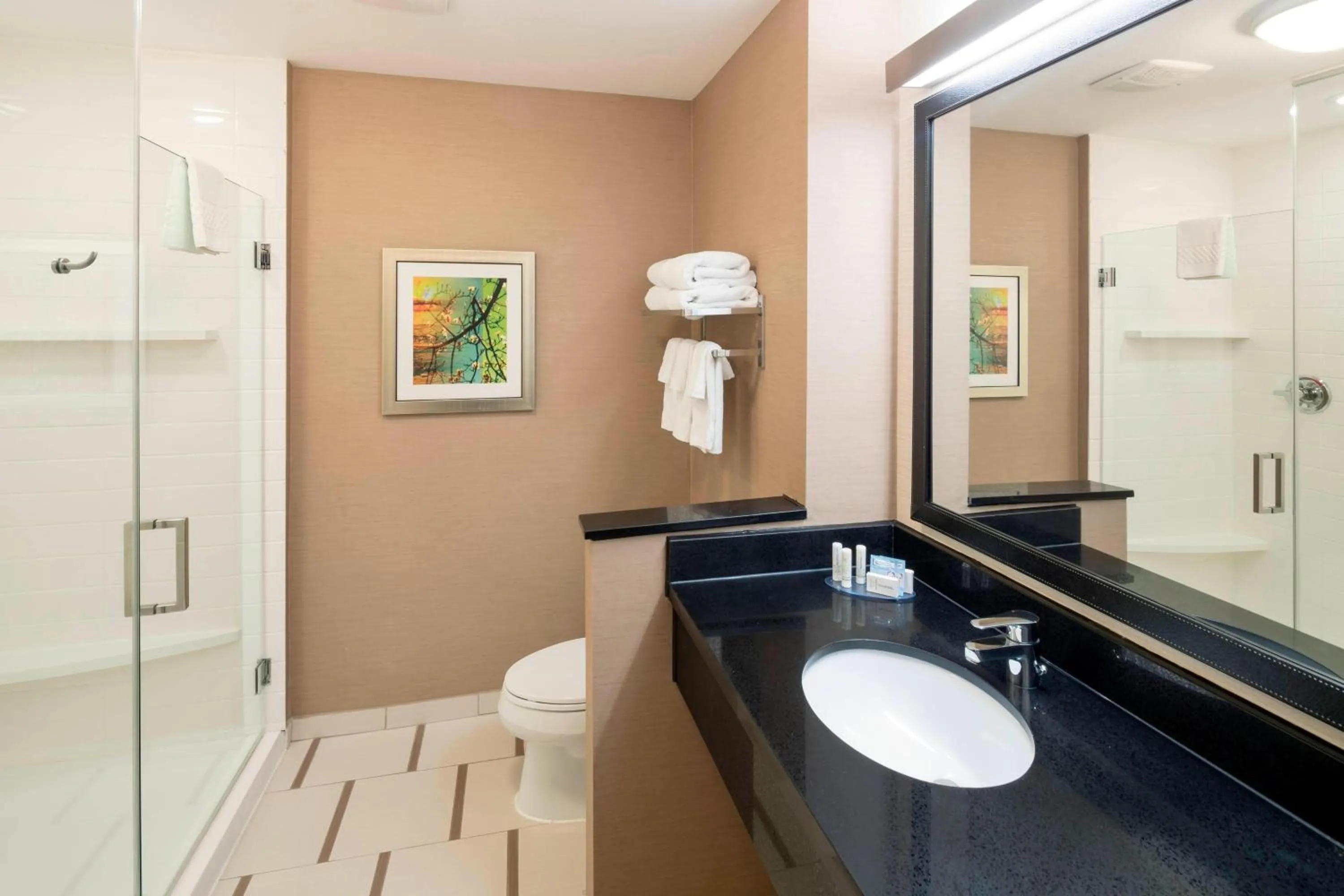 Bathroom in Fairfield Inn & Suites by Marriott Houston Pasadena