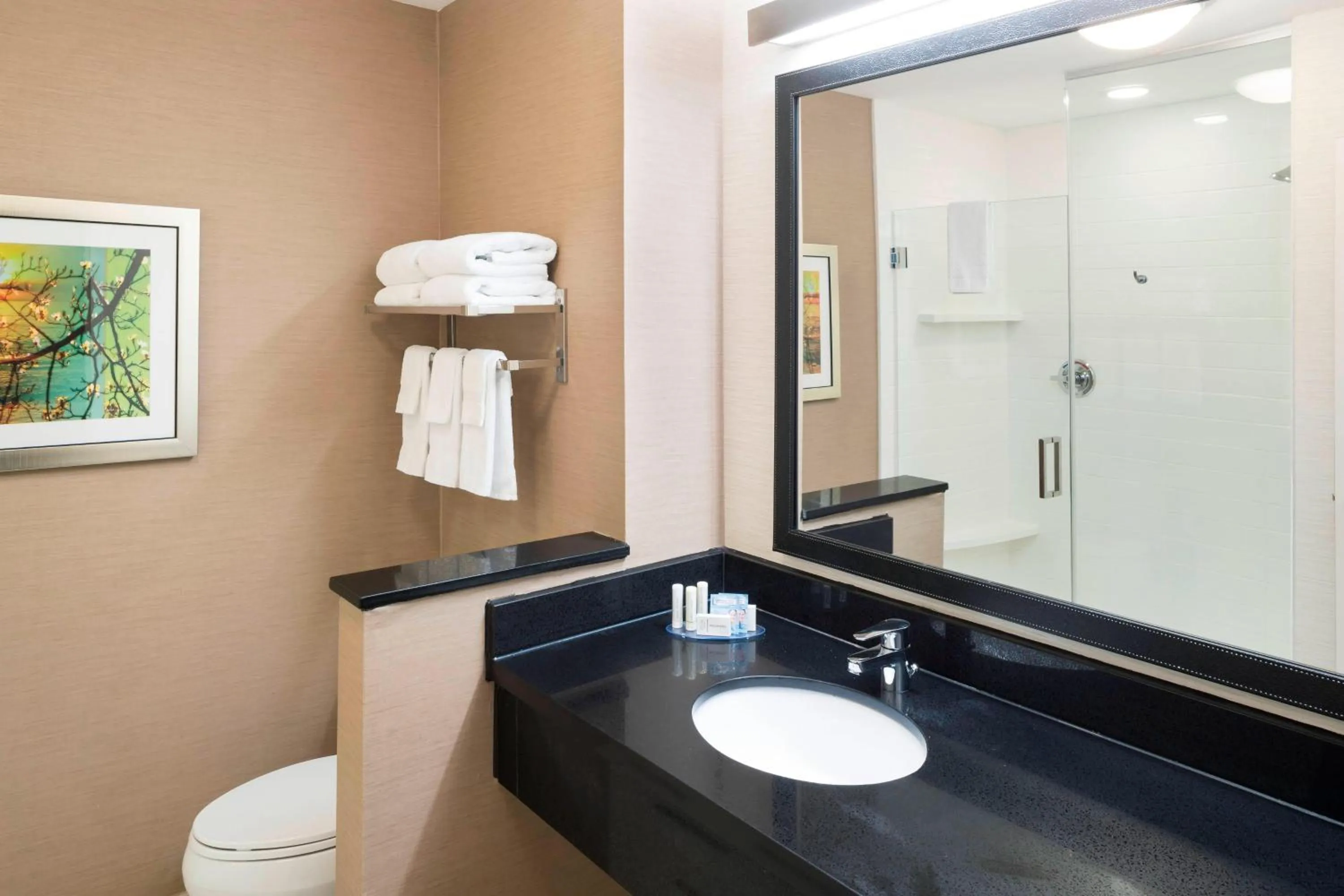 Bathroom in Fairfield Inn & Suites by Marriott Houston Pasadena