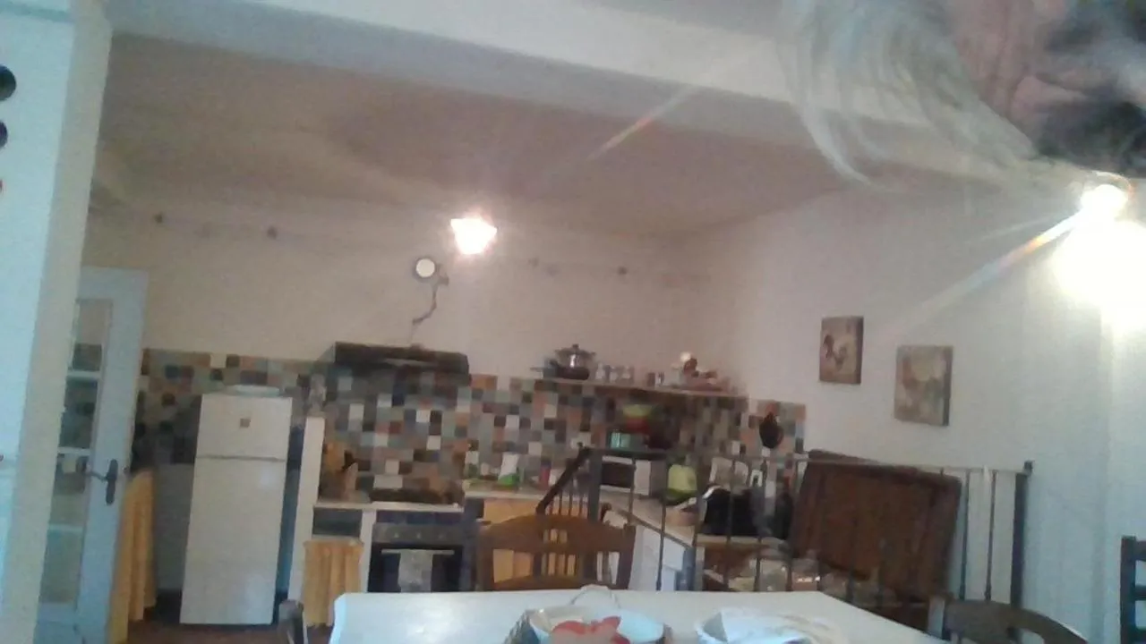 Il cotogno
