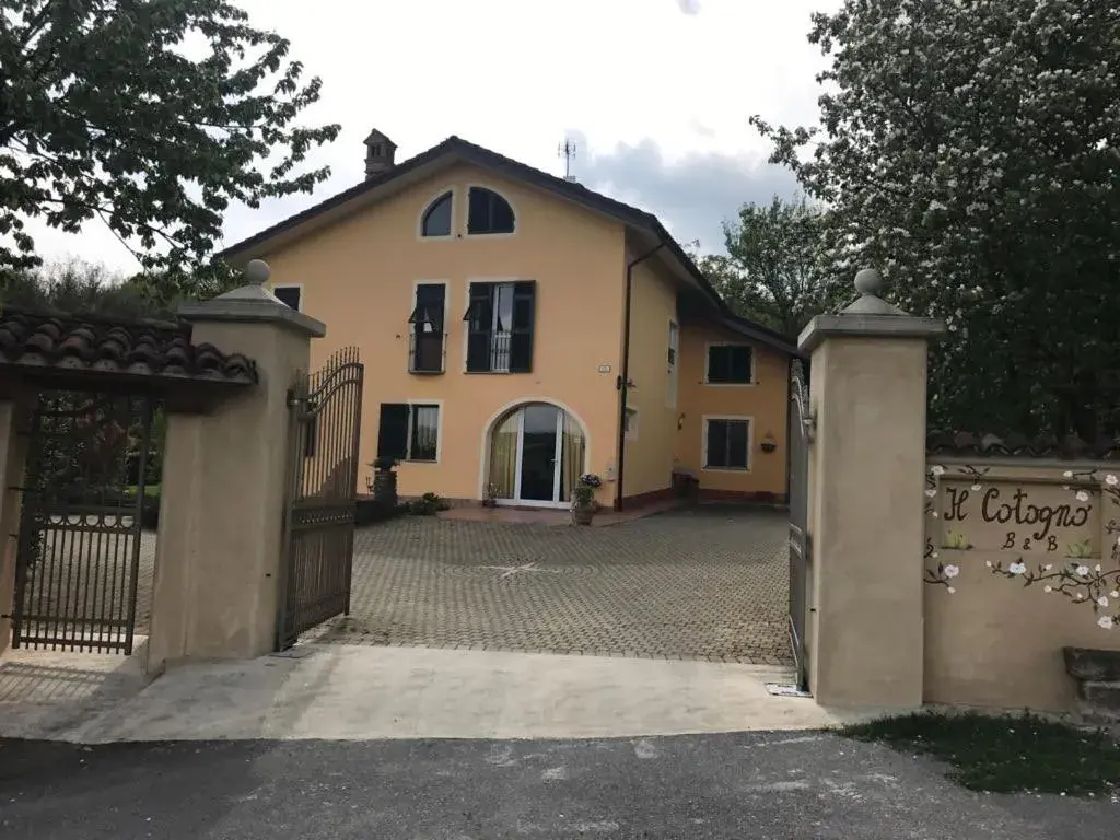 Il cotogno Il cotogno
