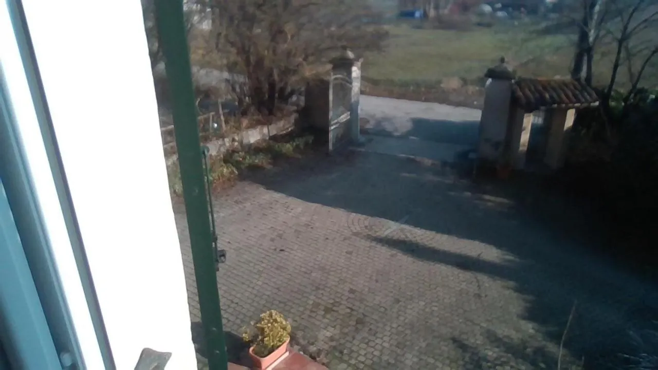 Il cotogno