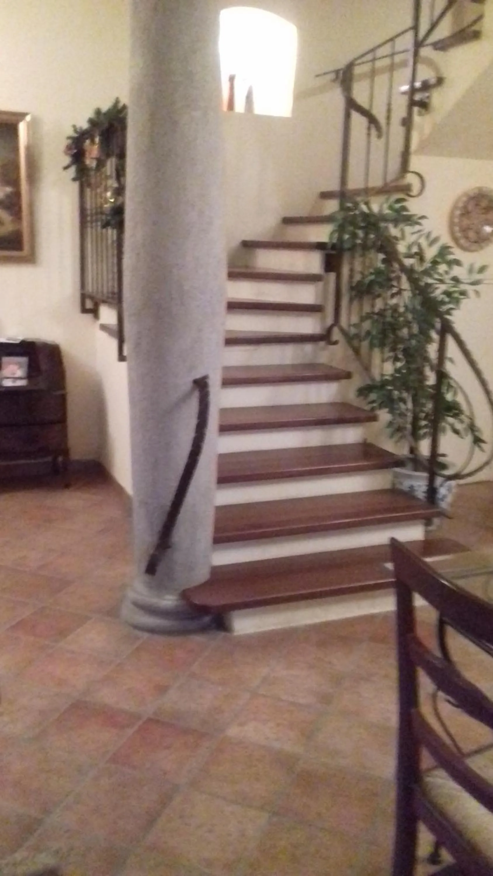 Il cotogno