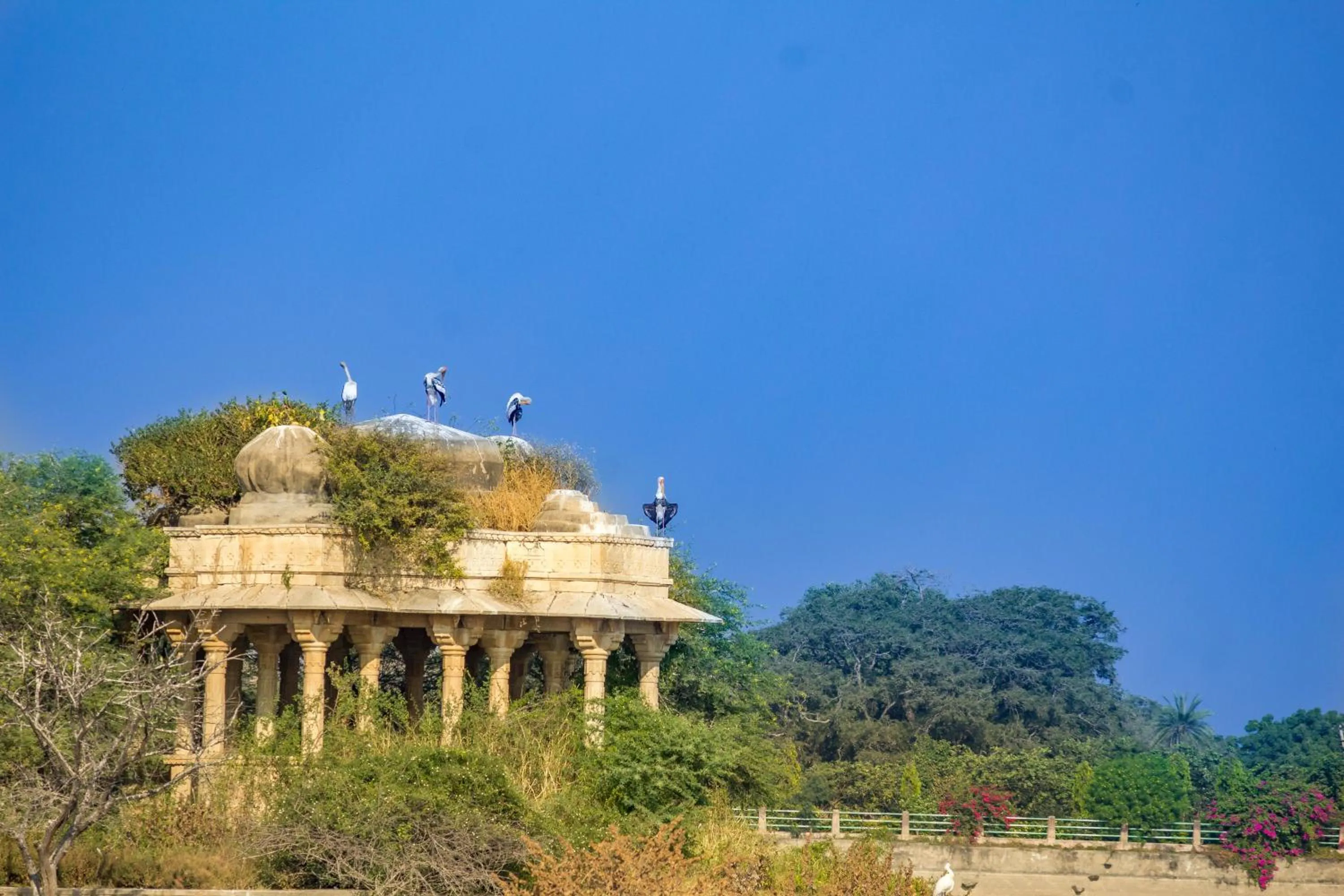 Natural landscape in Dev Shree Deogarh