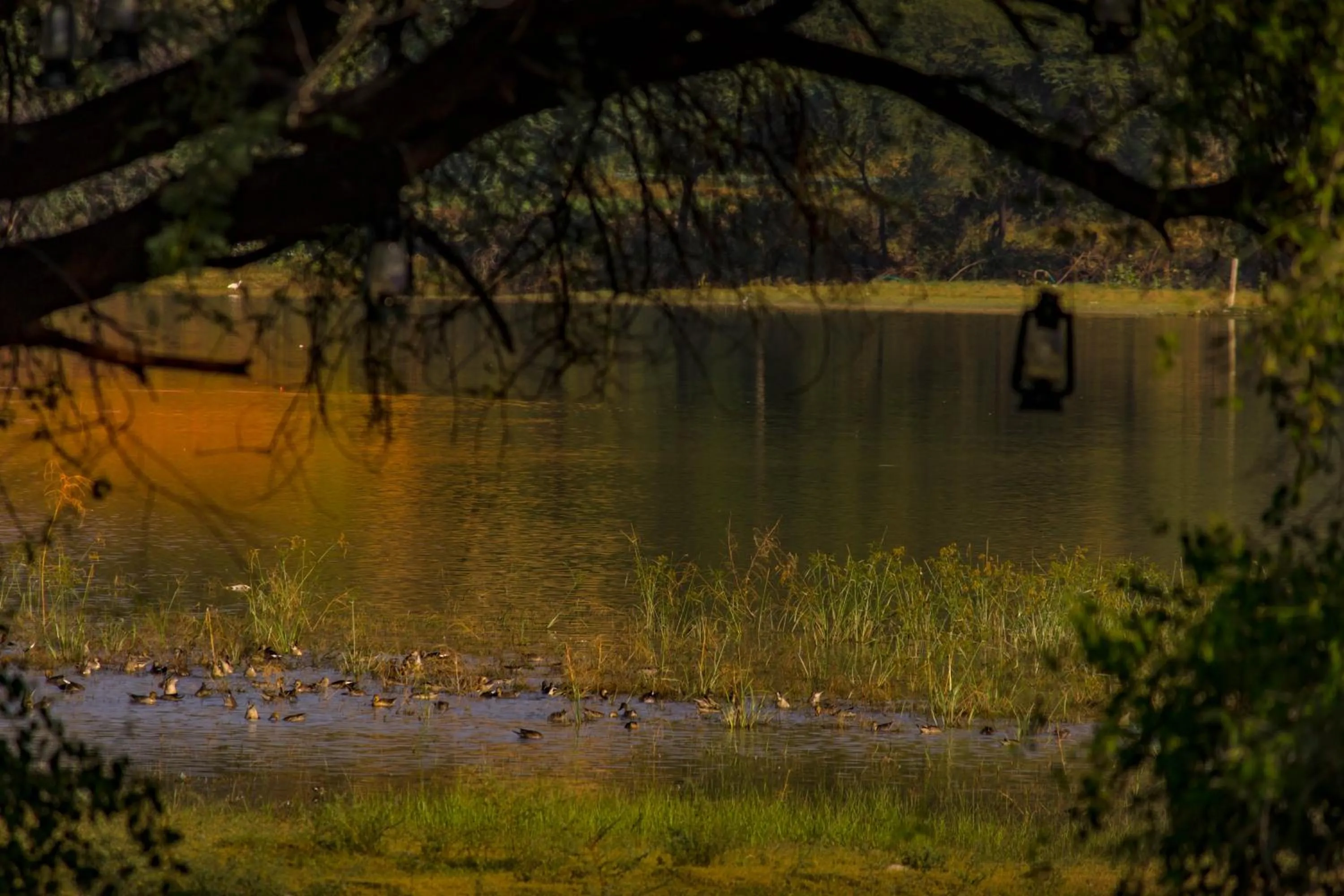 Natural landscape in Dev Shree Deogarh
