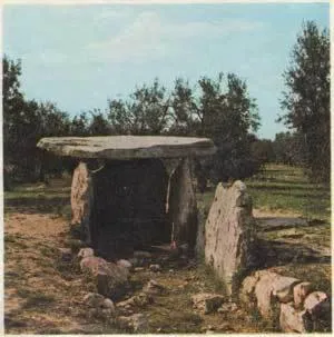 Natural landscape in Palazzo Lupicini Affittacamere