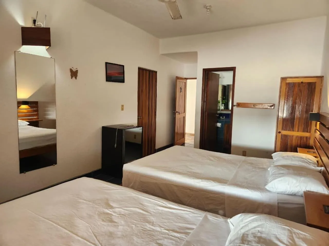 Photo of the whole room, Bed in Hotel Buena Vista