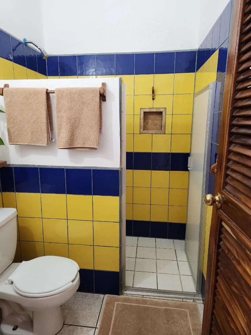 Shower in Hotel Buena Vista