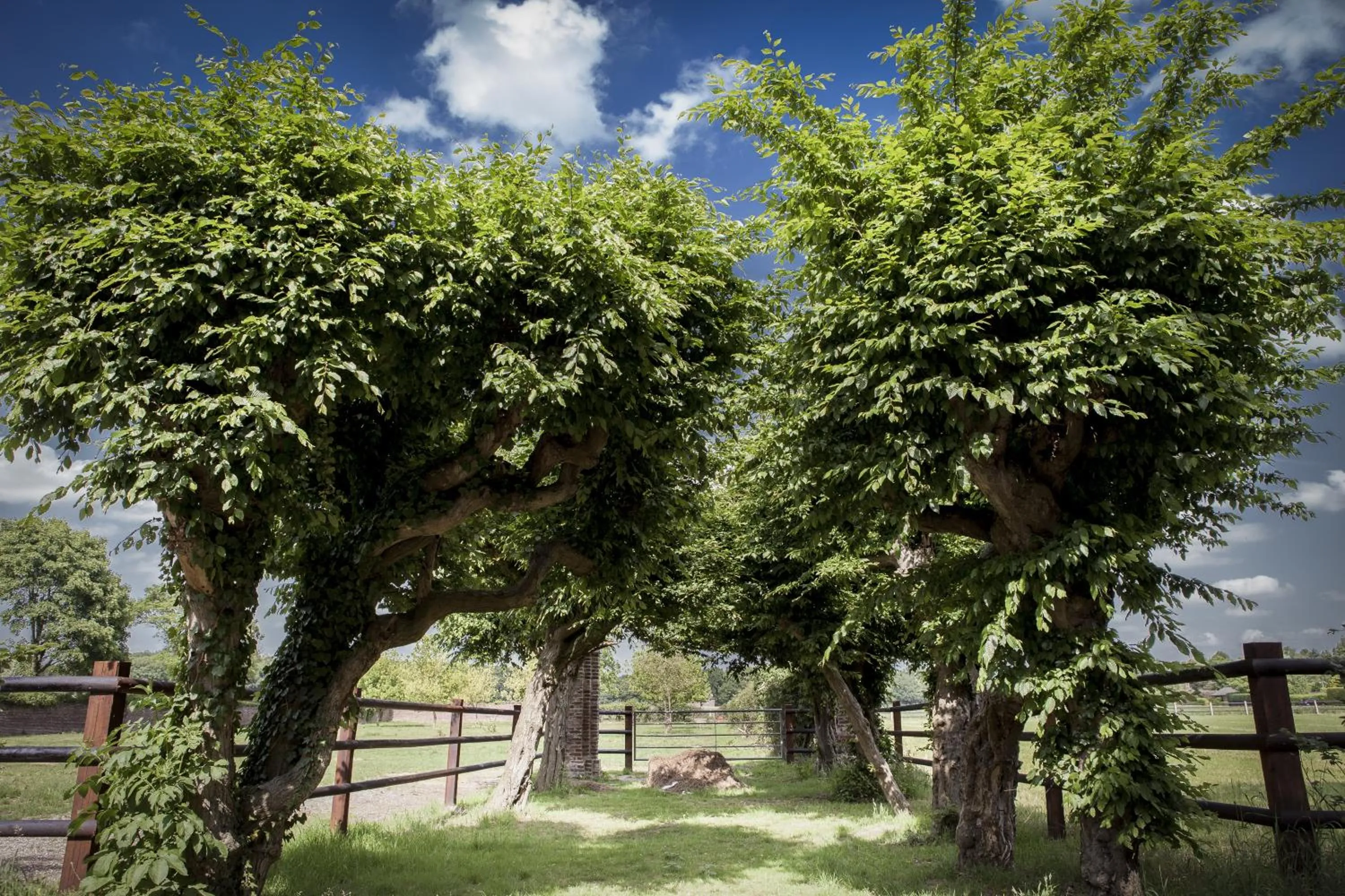 Day in Hotel Schloss Walbeck