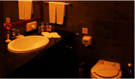 Bathroom in Ashok Country Resort