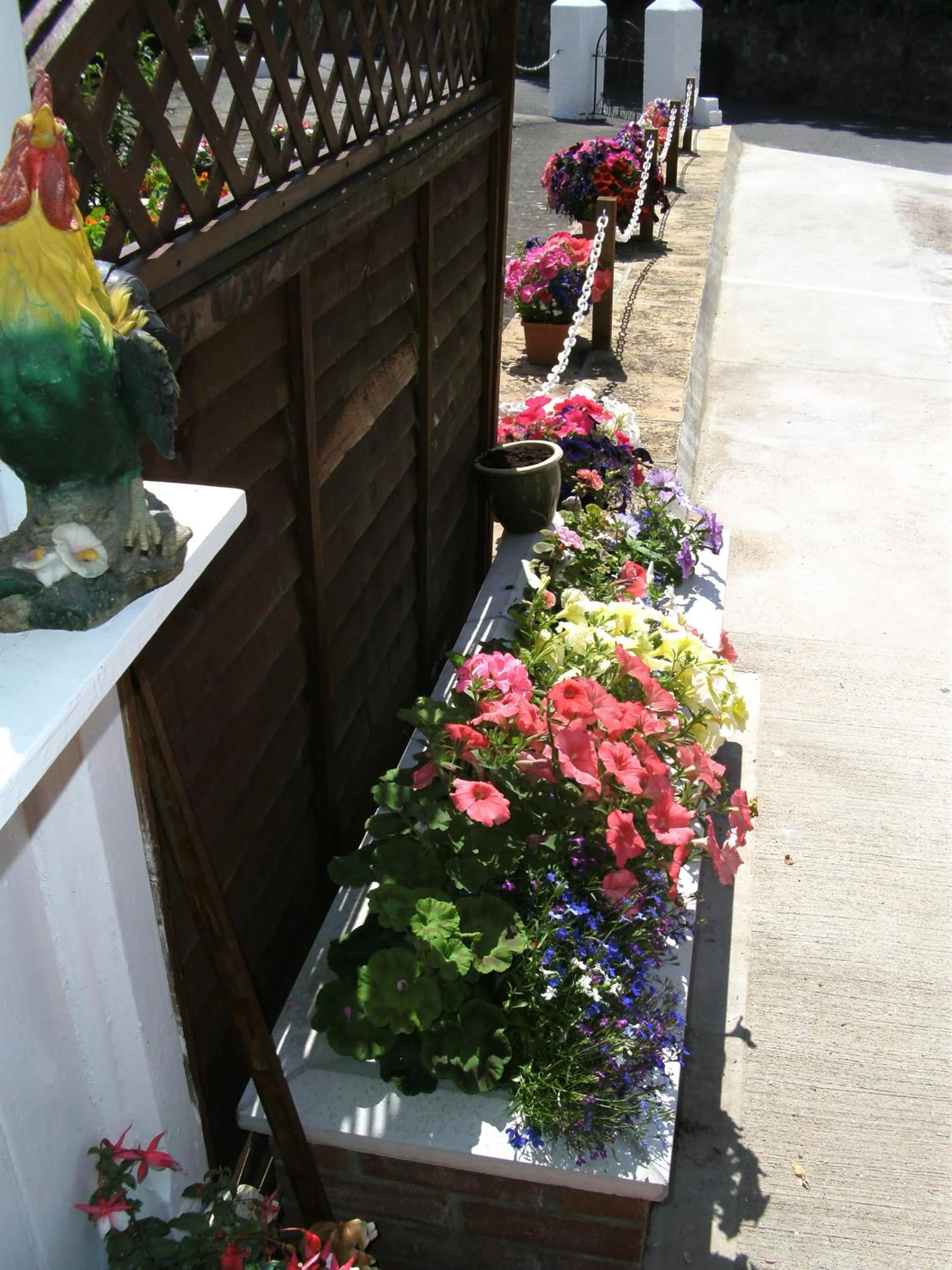 Garden in Merriedale Guest House