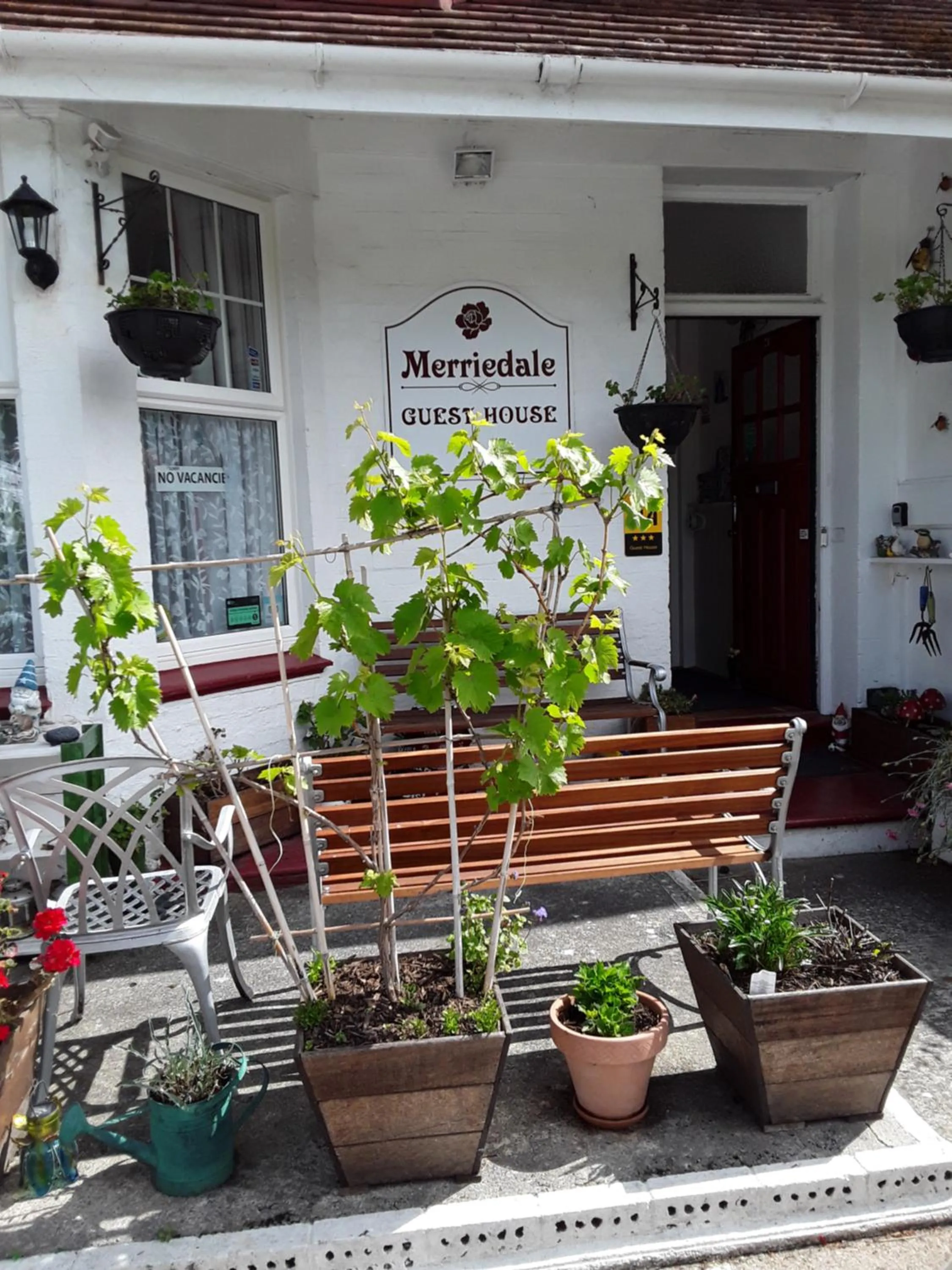 Garden in Merriedale Guest House