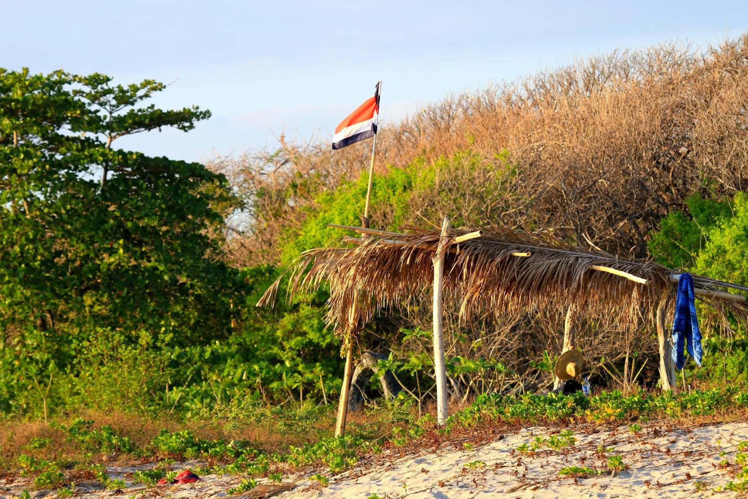 Natural landscape in Olas Verdes Hotel