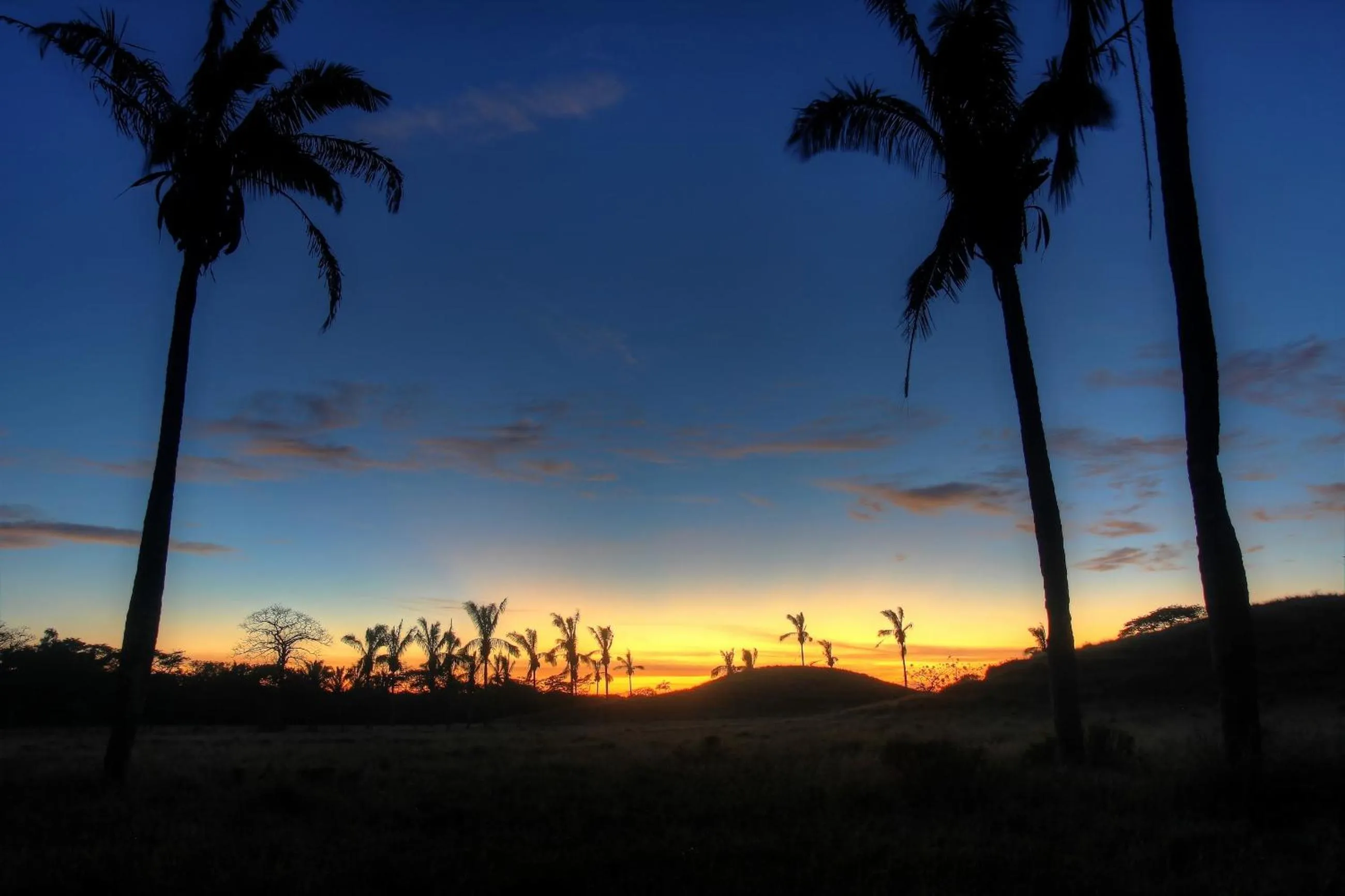 Beach in Olas Verdes Hotel