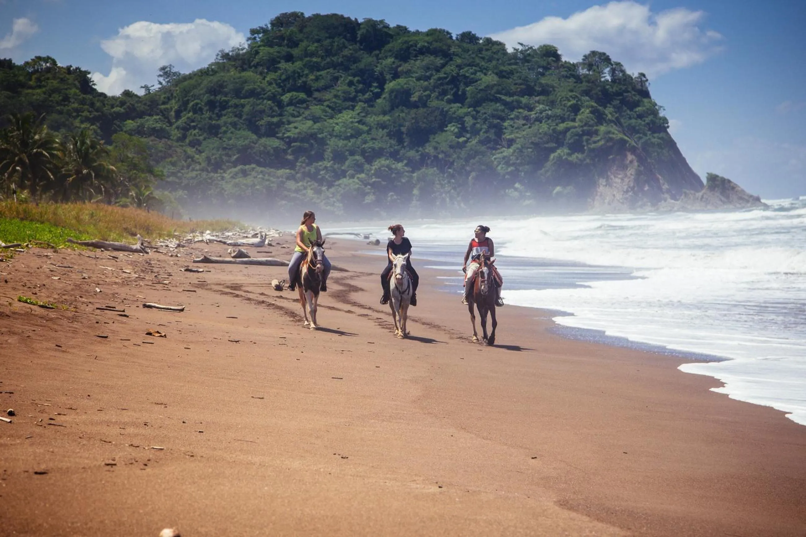Horse-riding in Olas Verdes Hotel