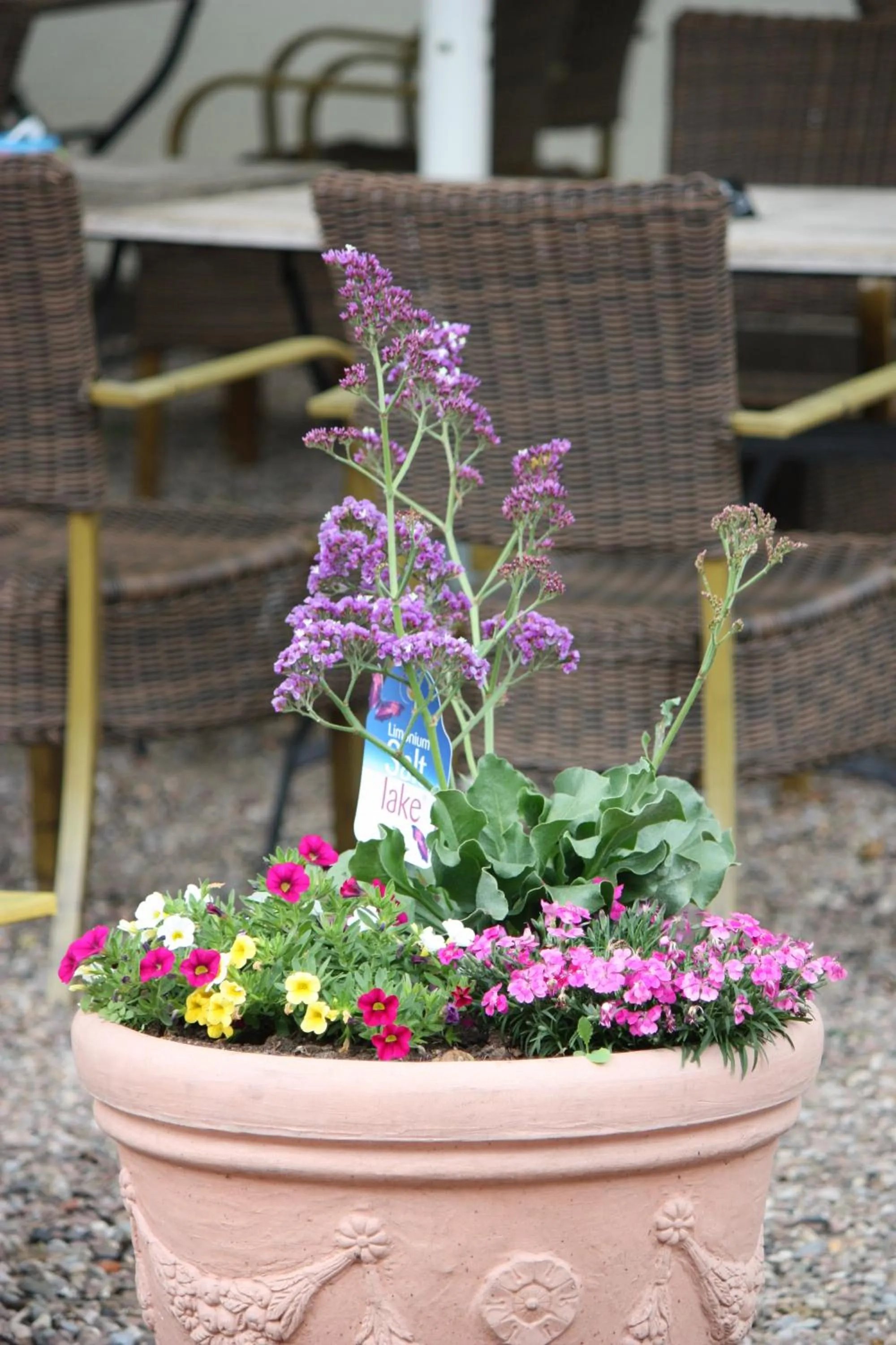 Property building in Hotel Knipper