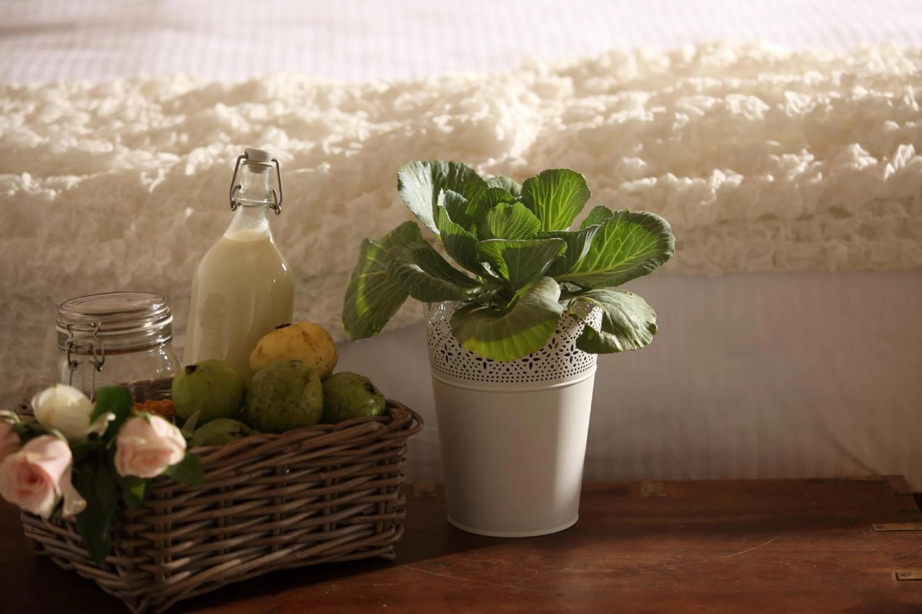 Decorative detail in Hills & Hues