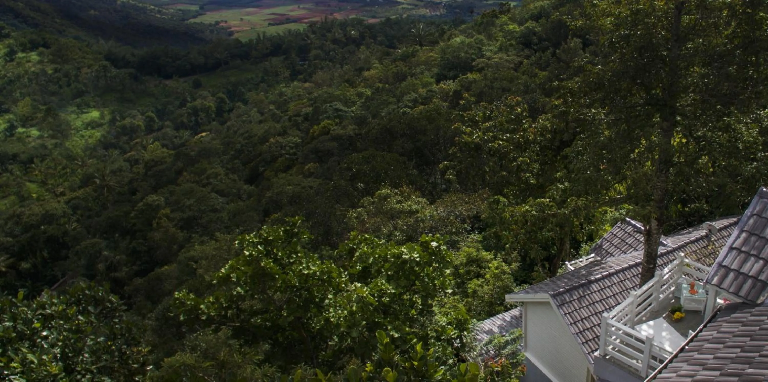 Natural landscape in Hills & Hues