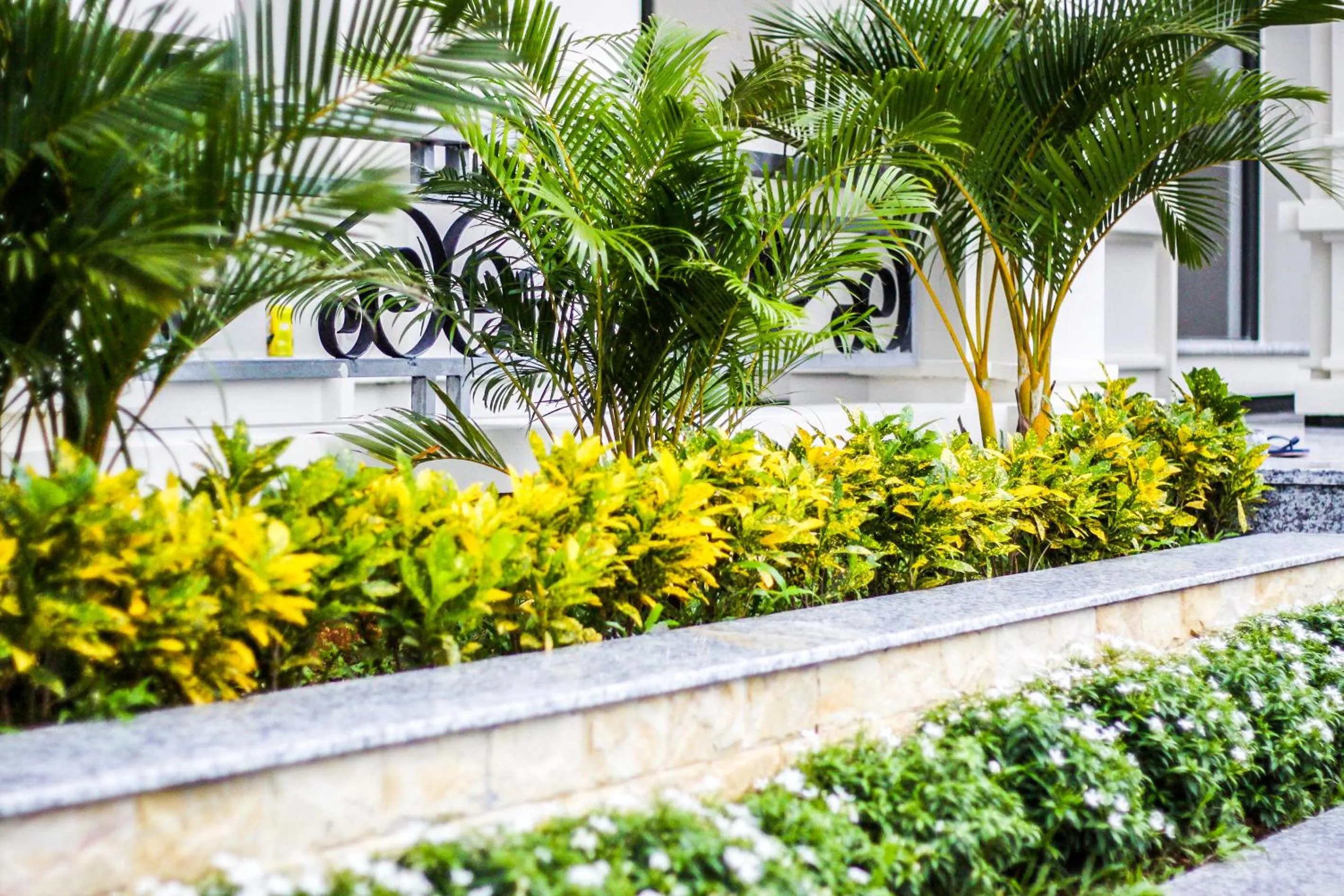 Garden view in Praha Hotel