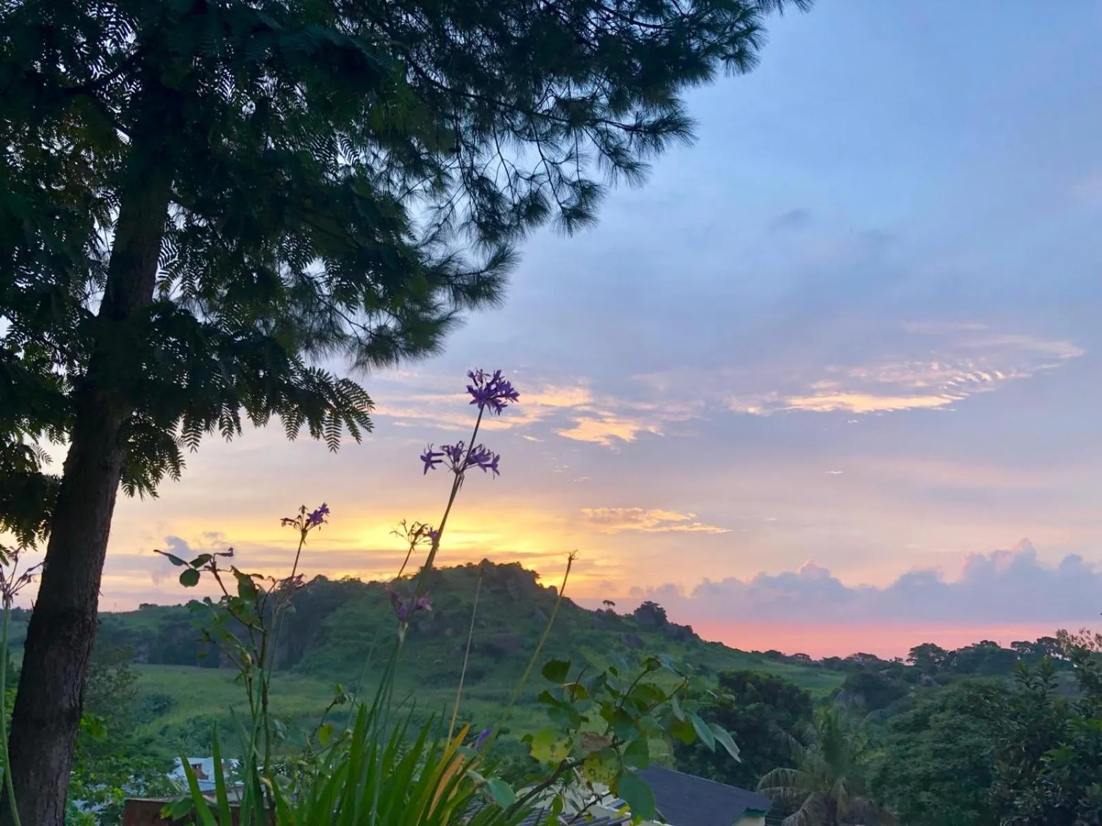 Chinyonga Guesthouse