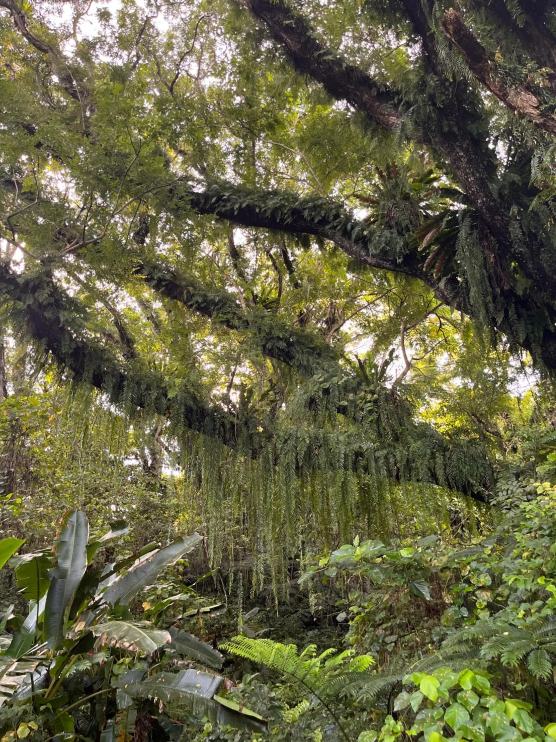 Naveria Heights Lodge