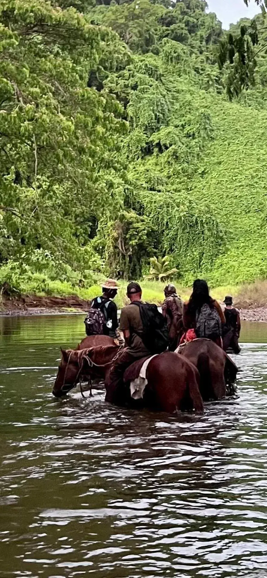 Naveria Heights Lodge Naveria Heights Lodge