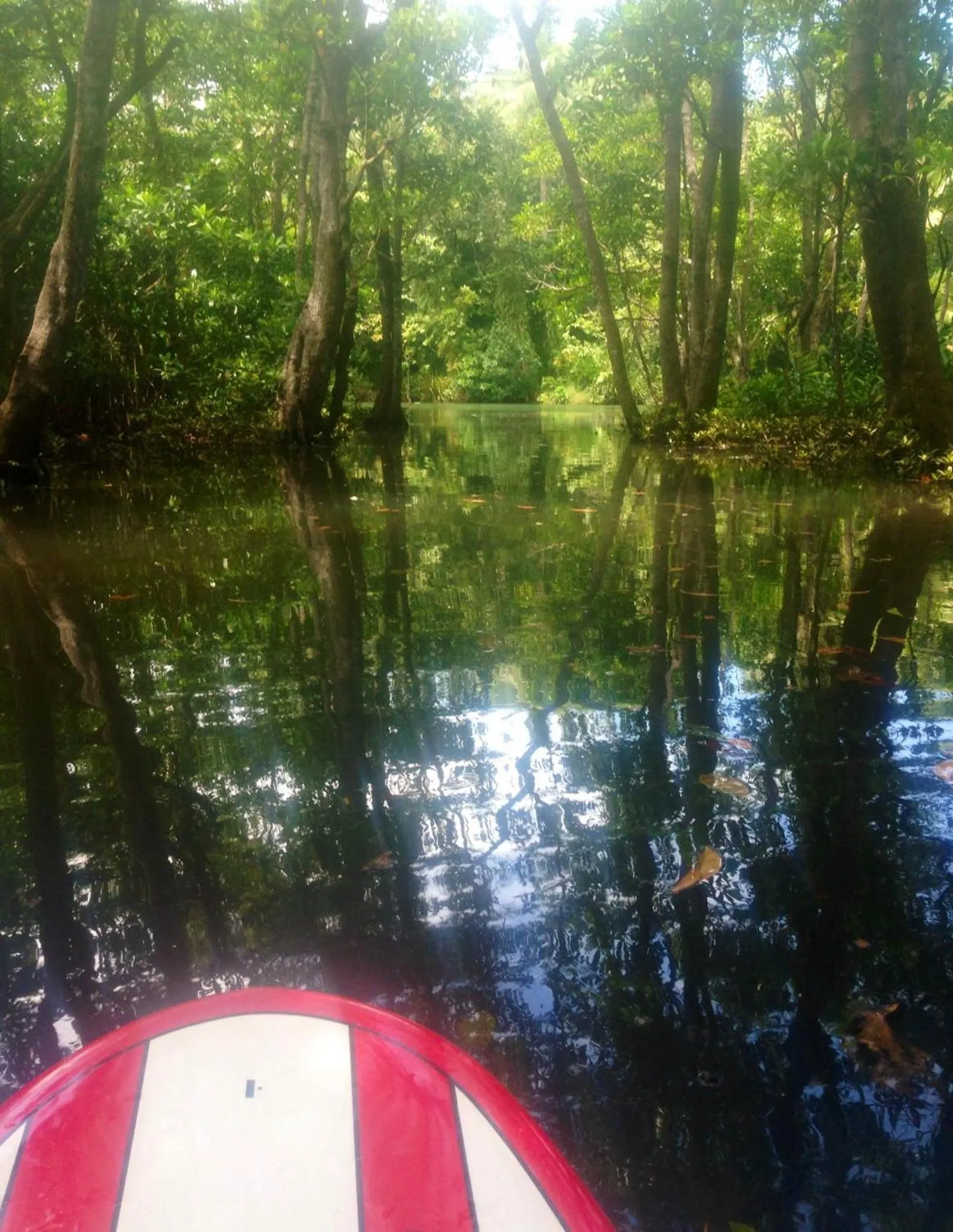 Day in Naveria Heights Lodge