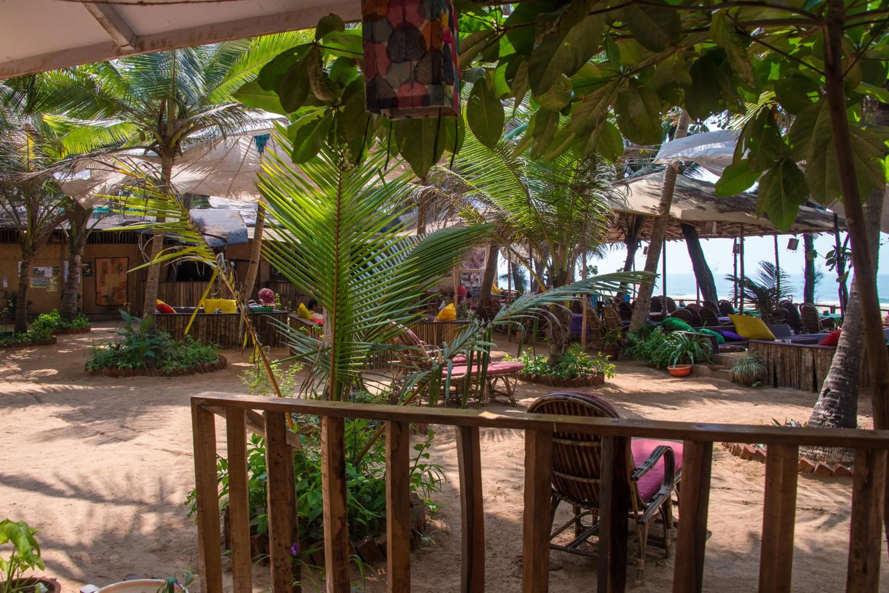 Garden view in Jardim a Mar