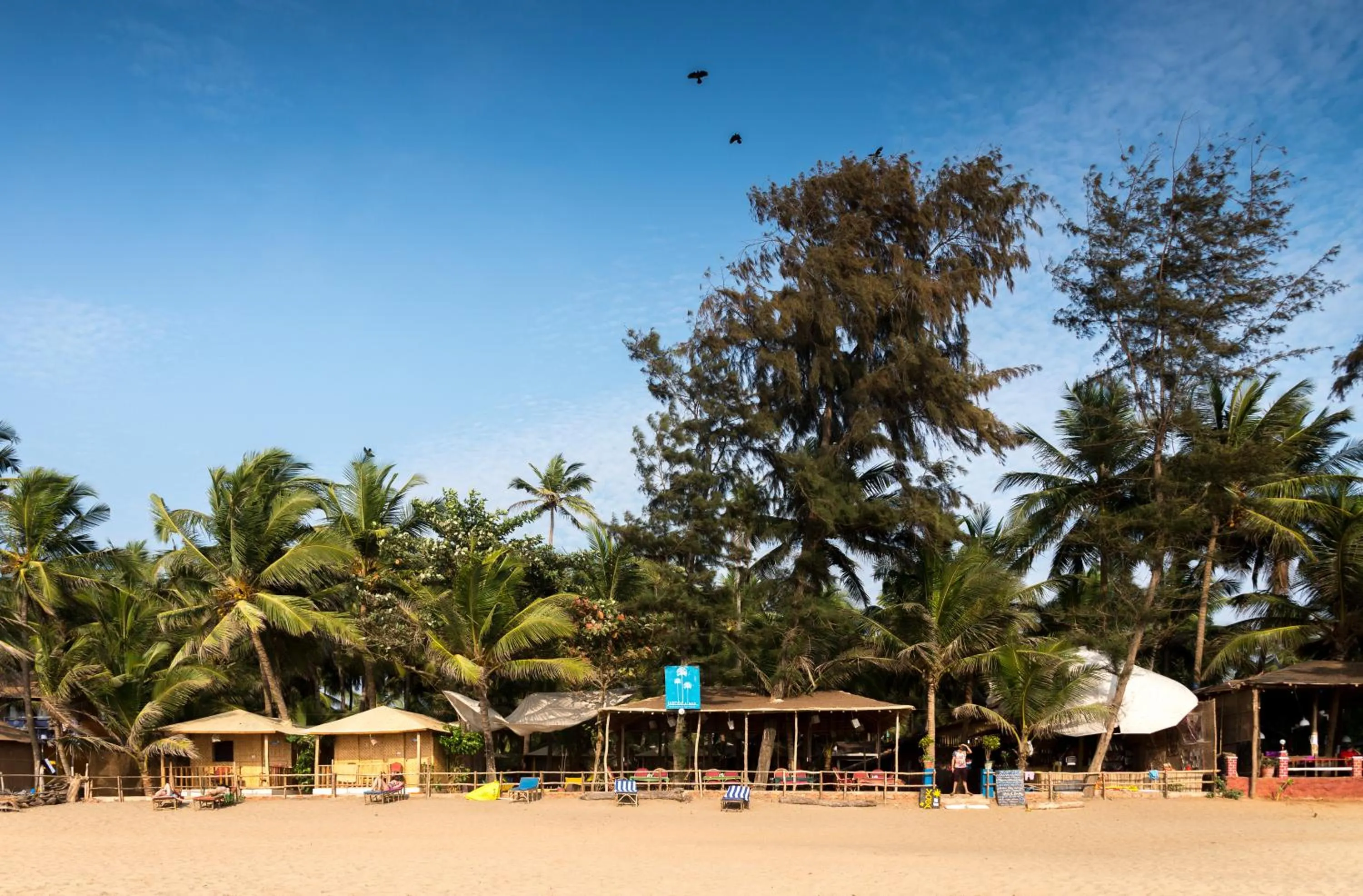 Restaurant/places to eat in Jardim a Mar