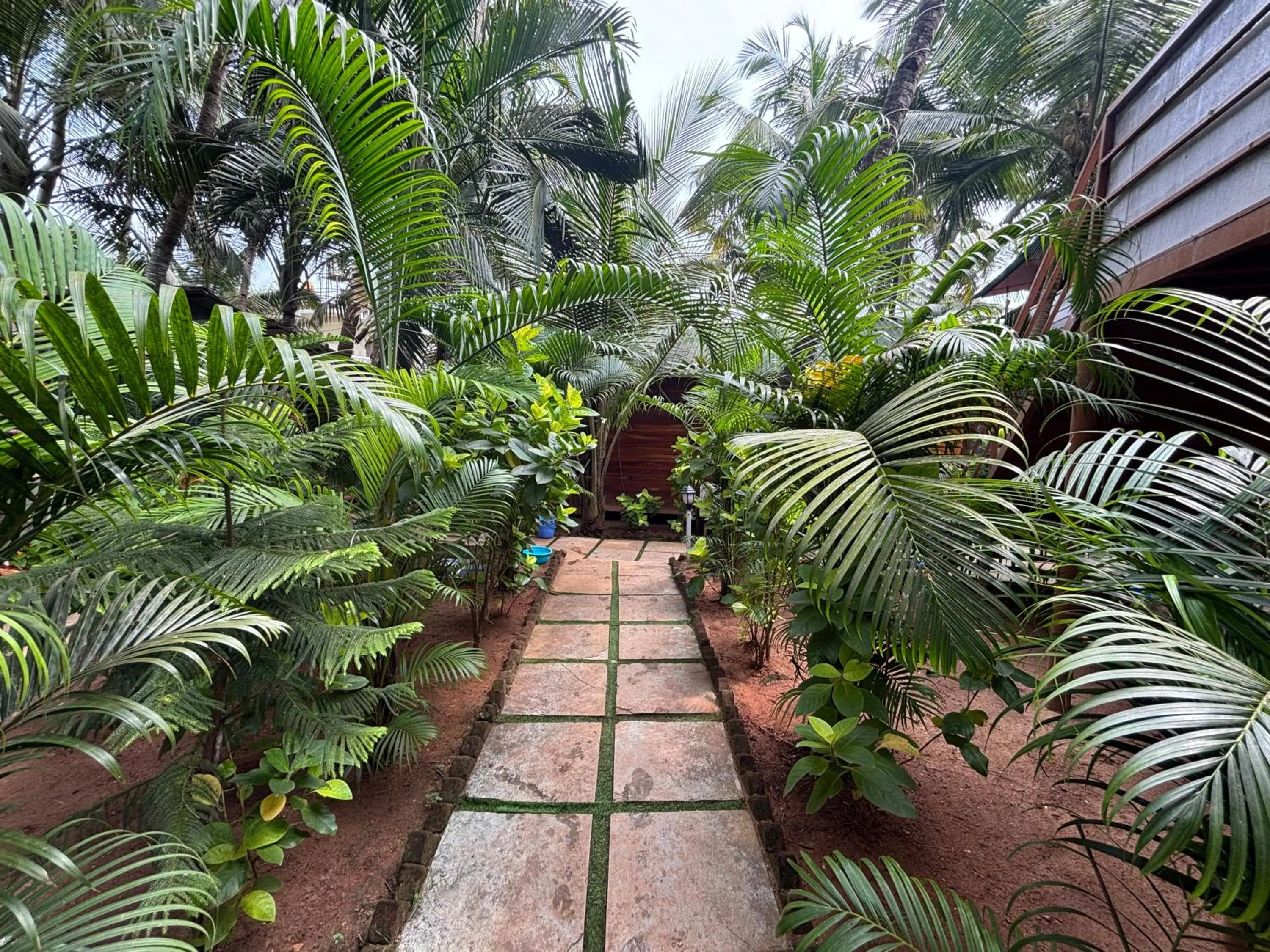 Garden view in Jardim a Mar
