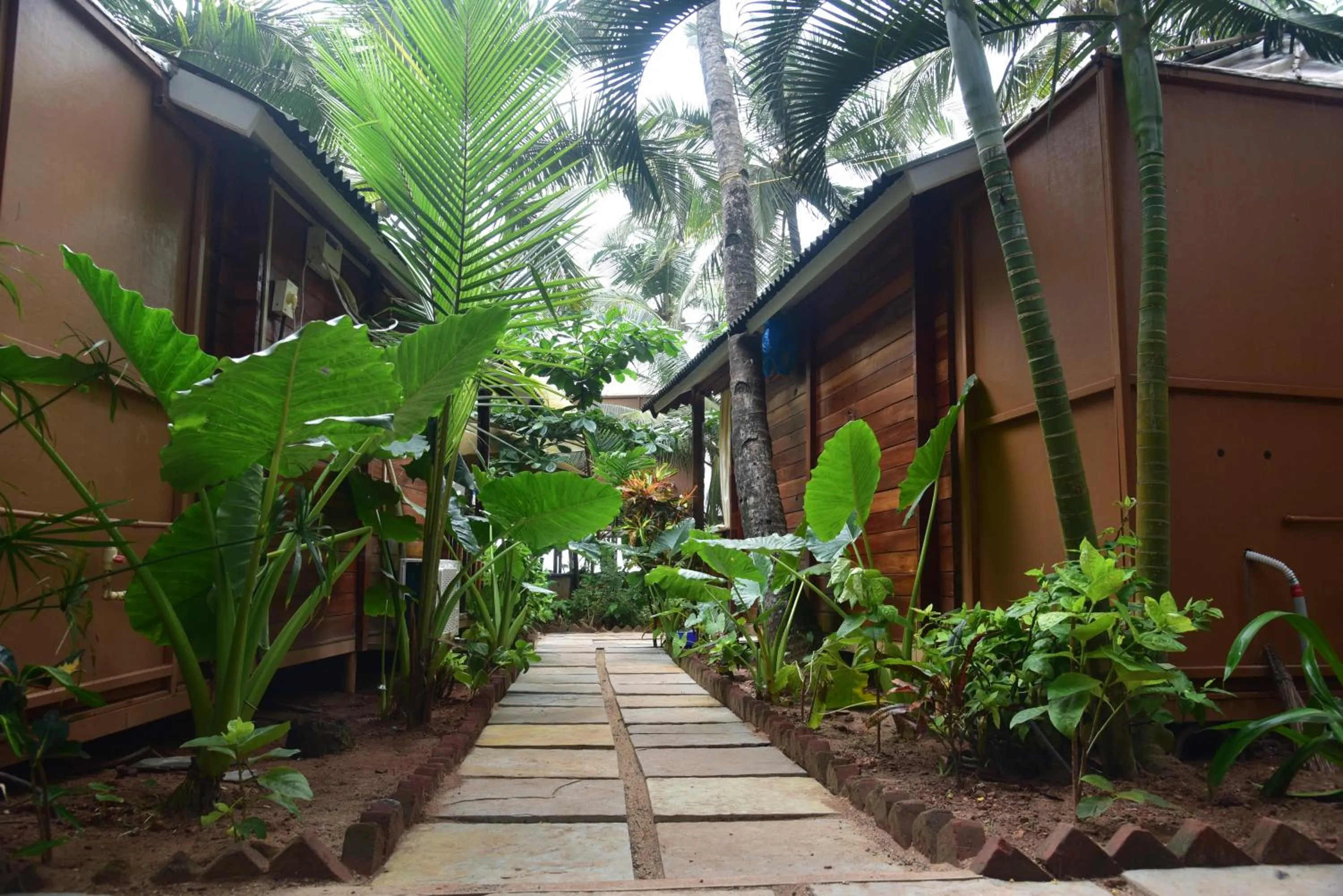 Garden view in Jardim a Mar