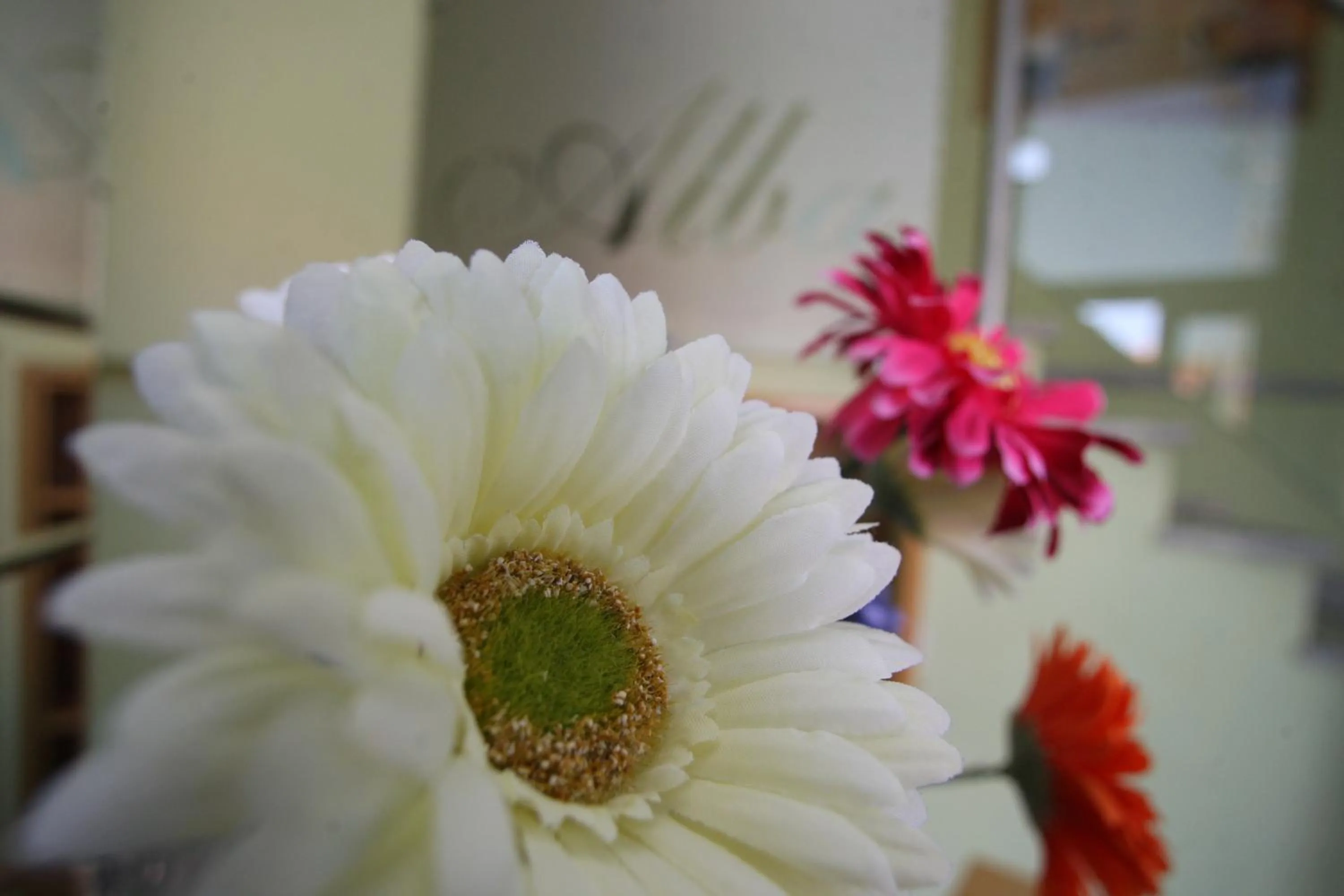 bunk bed in Hotel Alba