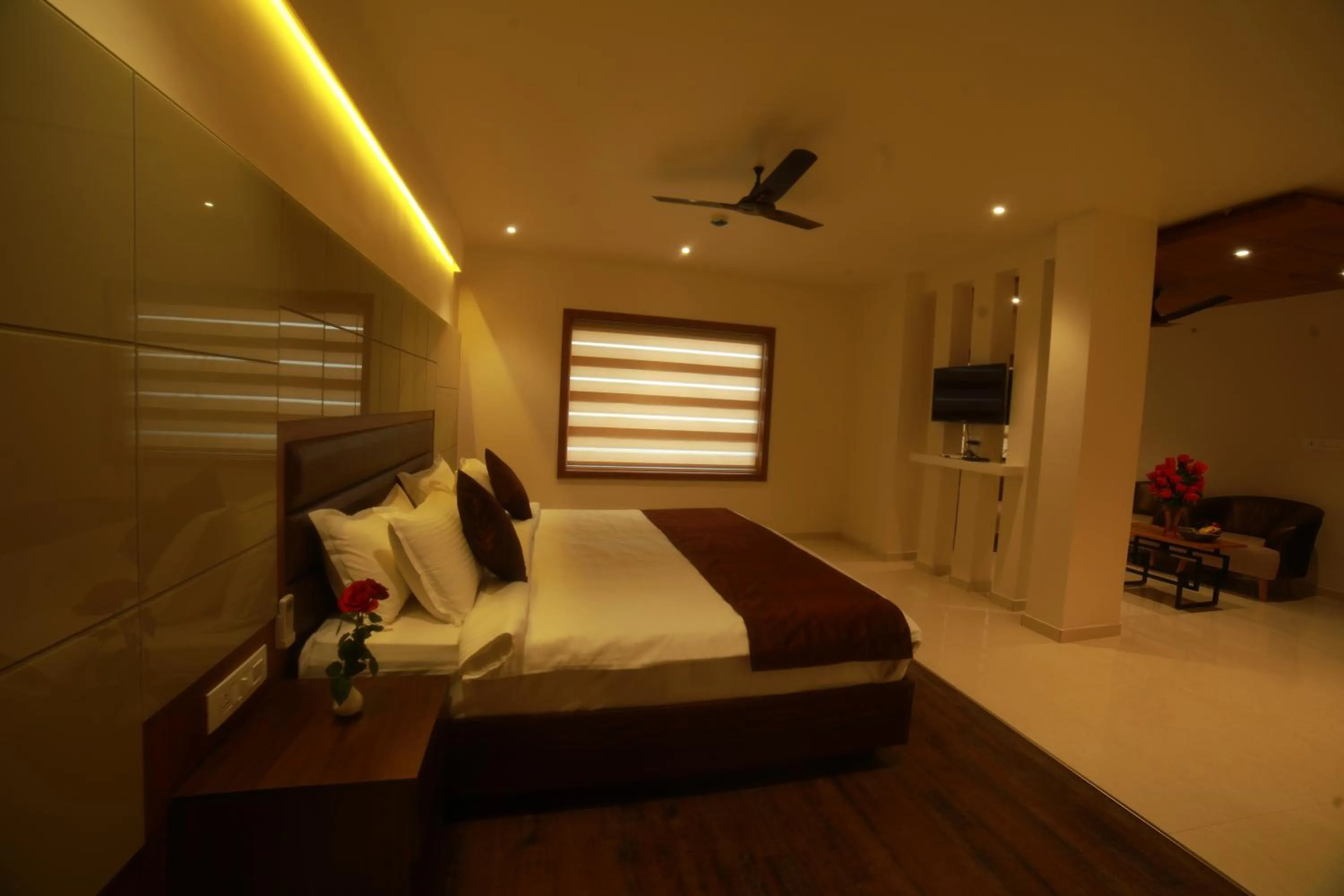 Photo of the whole room, Bed in Wild Saga