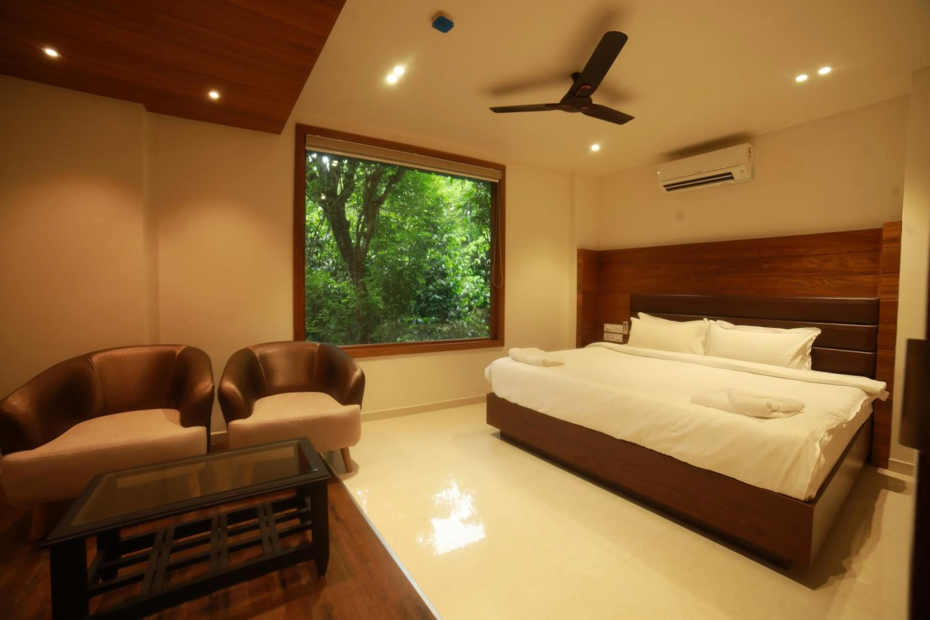 Photo of the whole room, Bed in Wild Saga