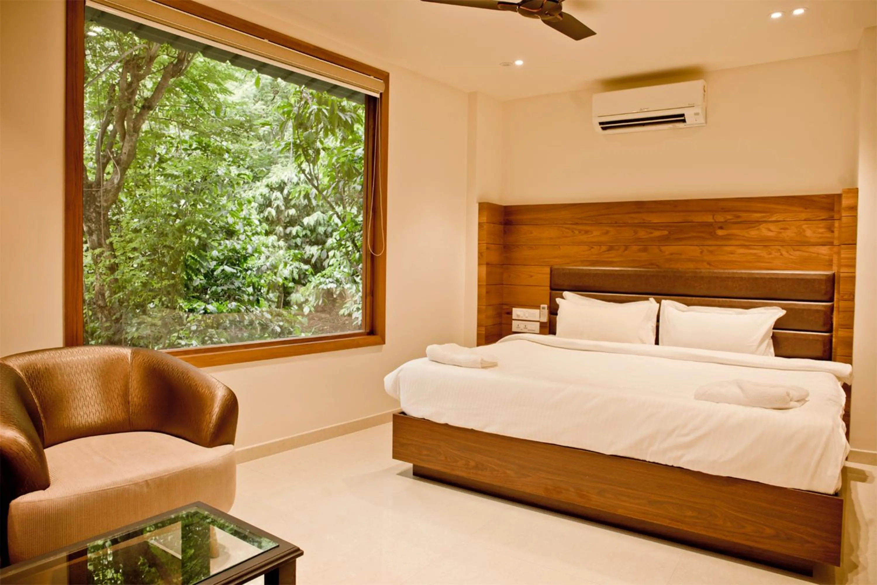 Photo of the whole room, Bed in Wild Saga