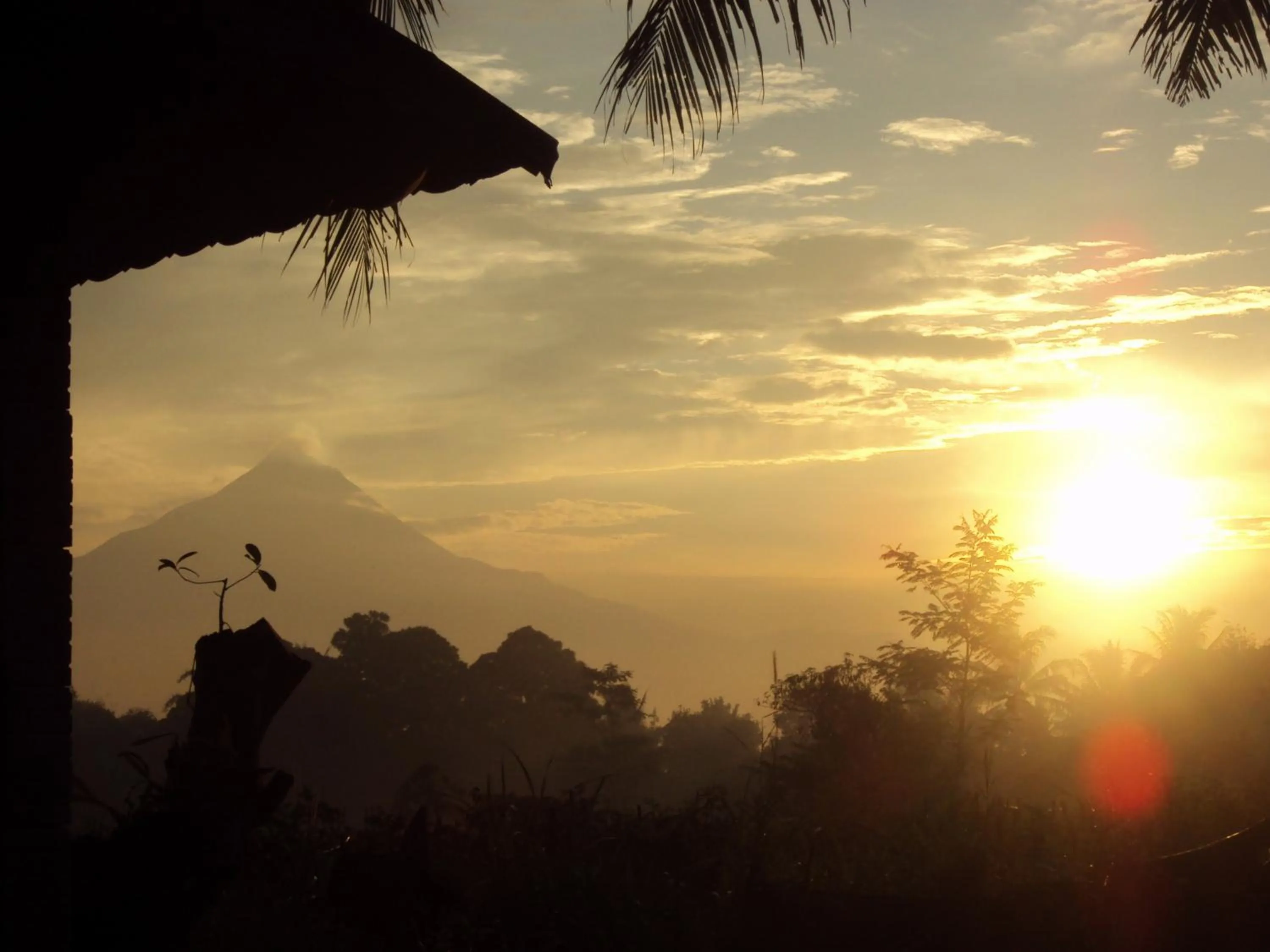 Natural landscape in Griya Harja Homestay