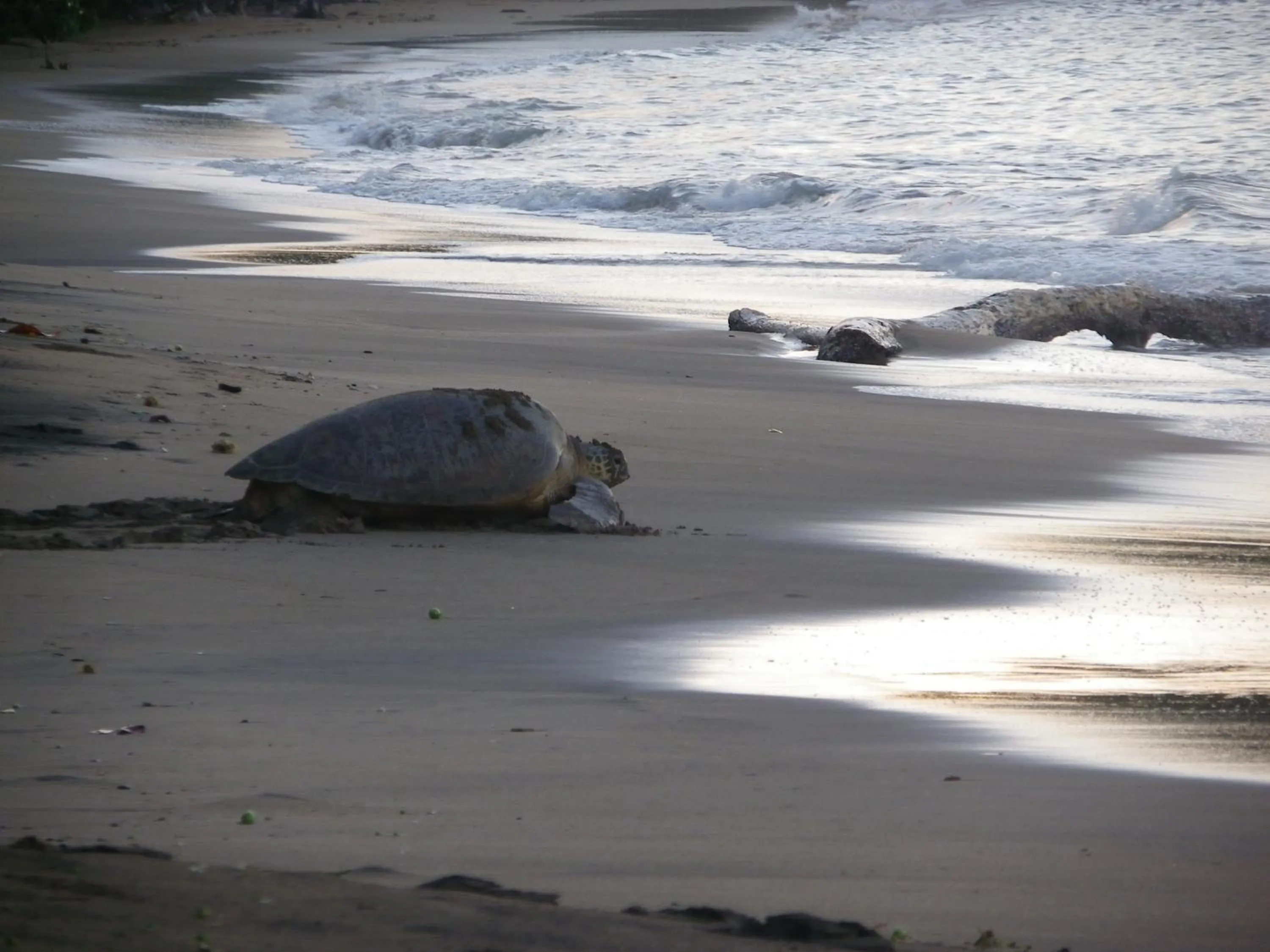 Beach in Le Jardin Maore