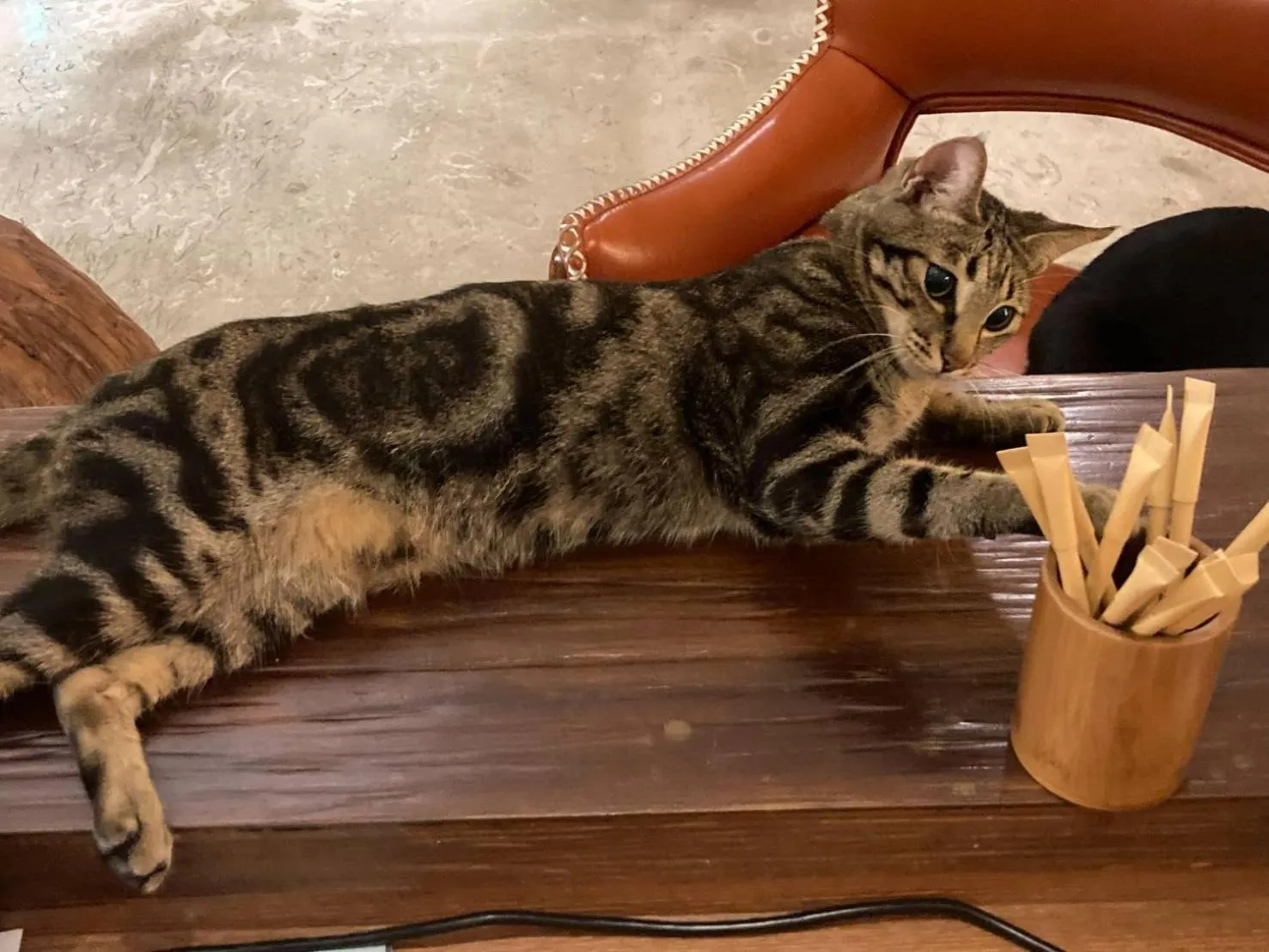 pet friendly in Taroko Liiko Hotels