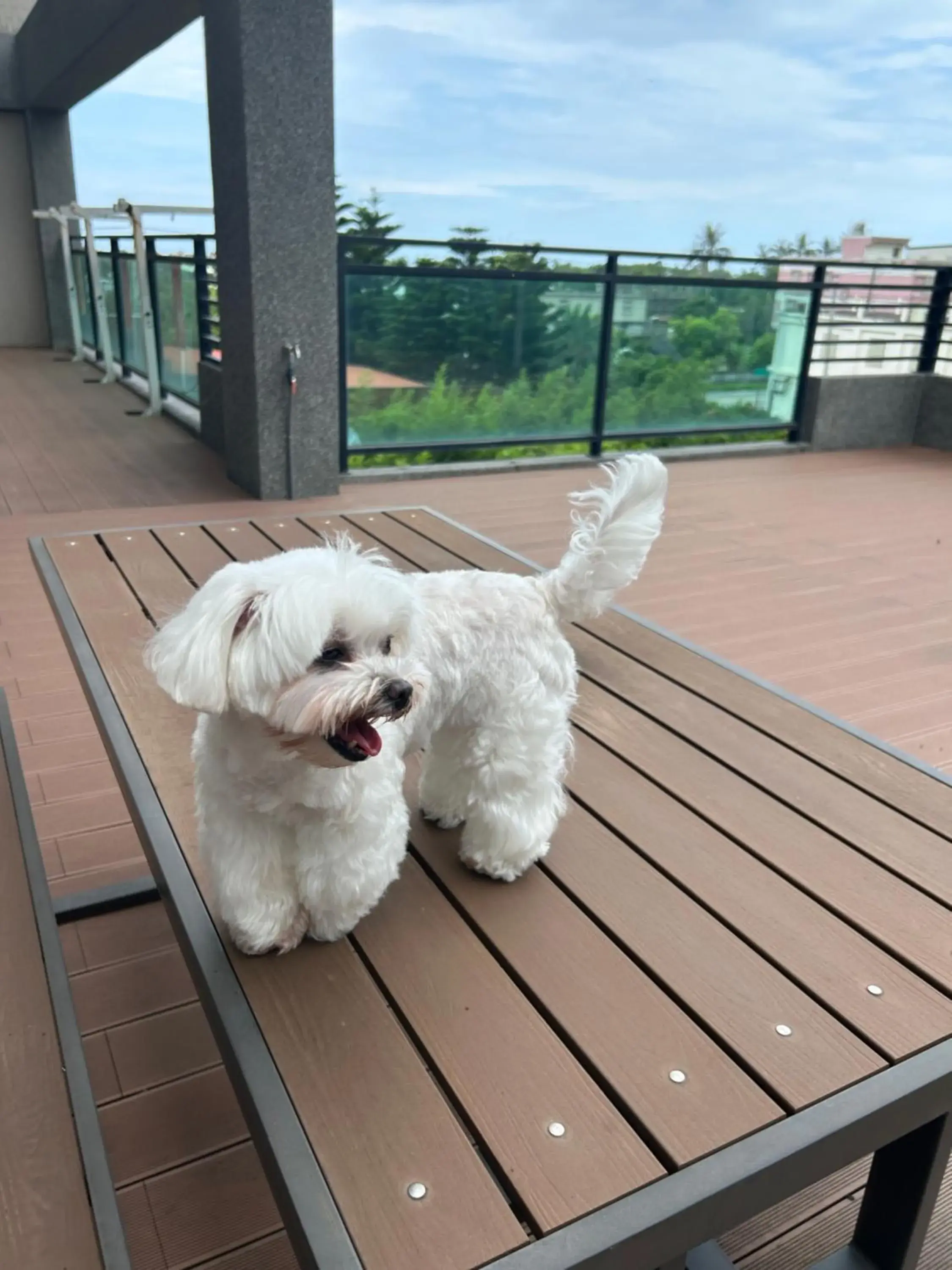 Property building in Taroko Liiko Hotels Property building in Taroko Liiko Hotels