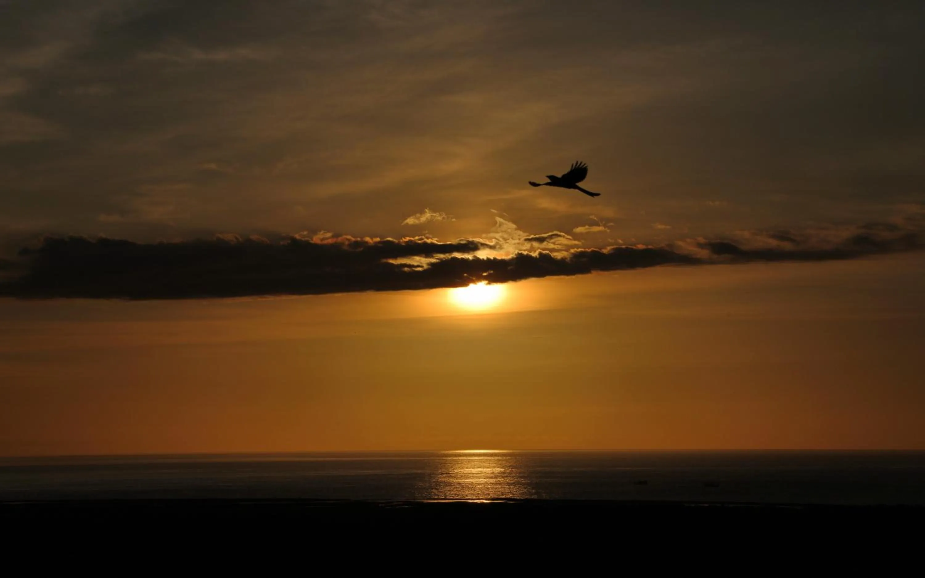 Natural landscape in Taroko Liiko Hotels