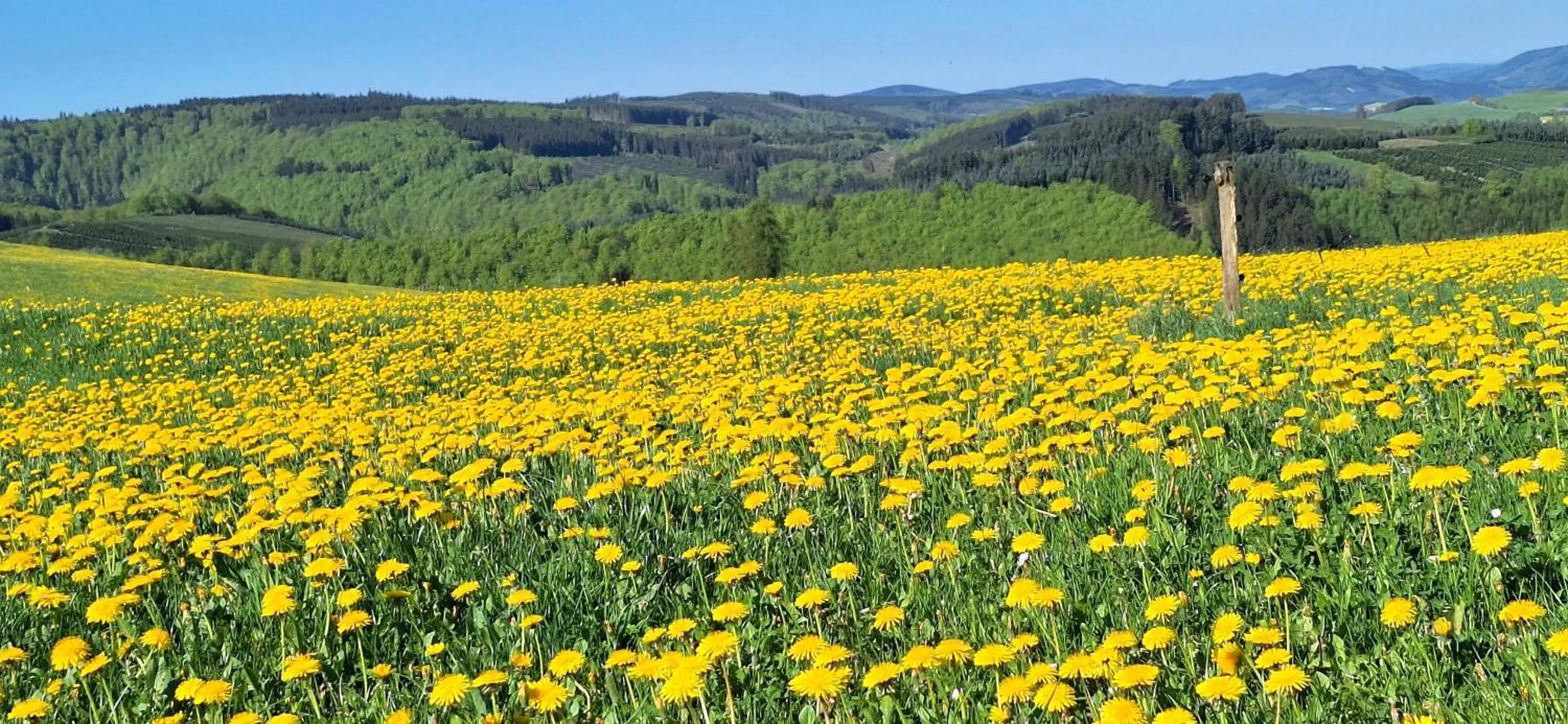 Spring in Landhaus Gnacke