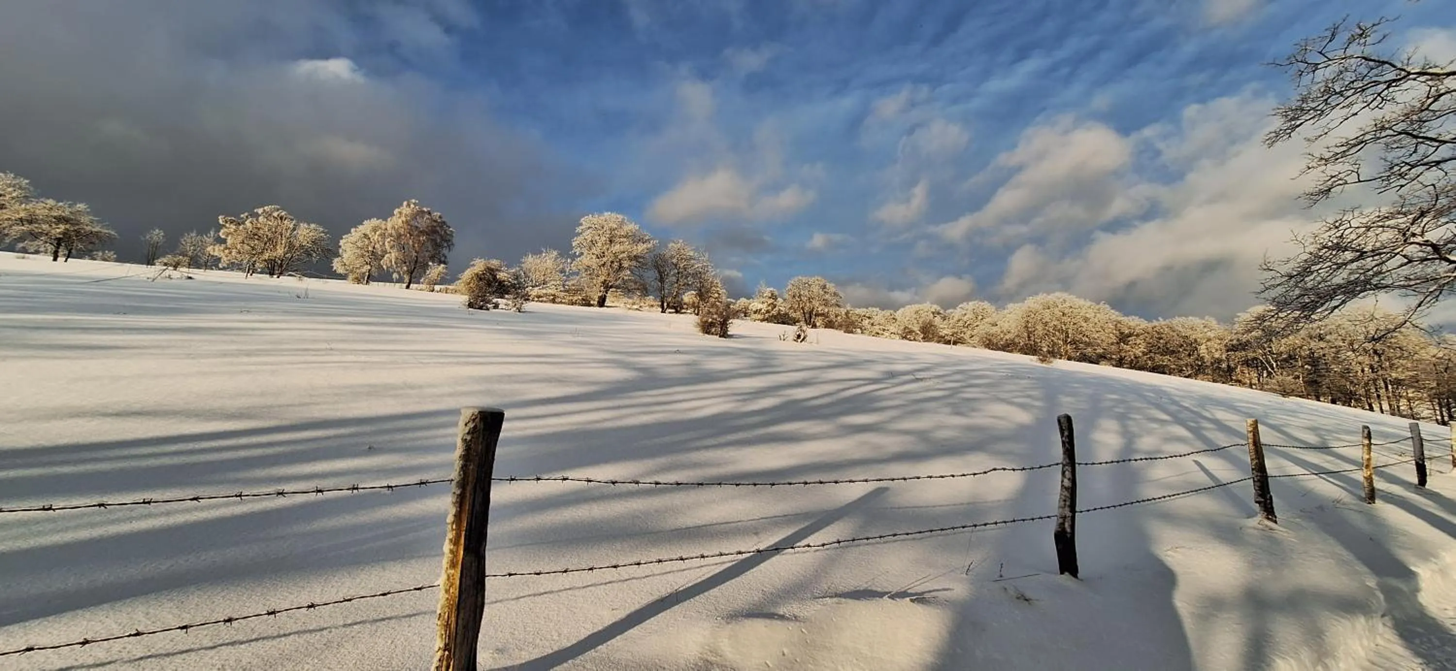 Natural landscape in Landhaus Gnacke