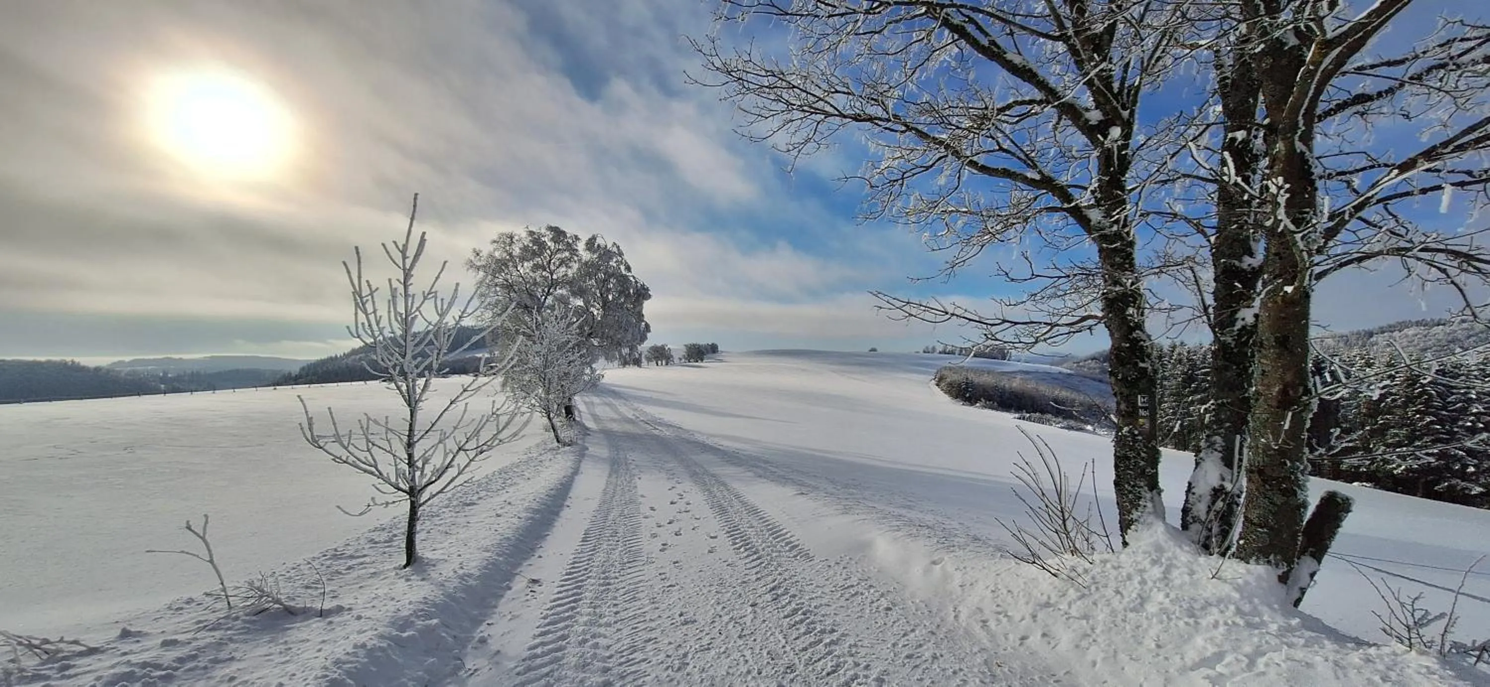Natural landscape in Landhaus Gnacke
