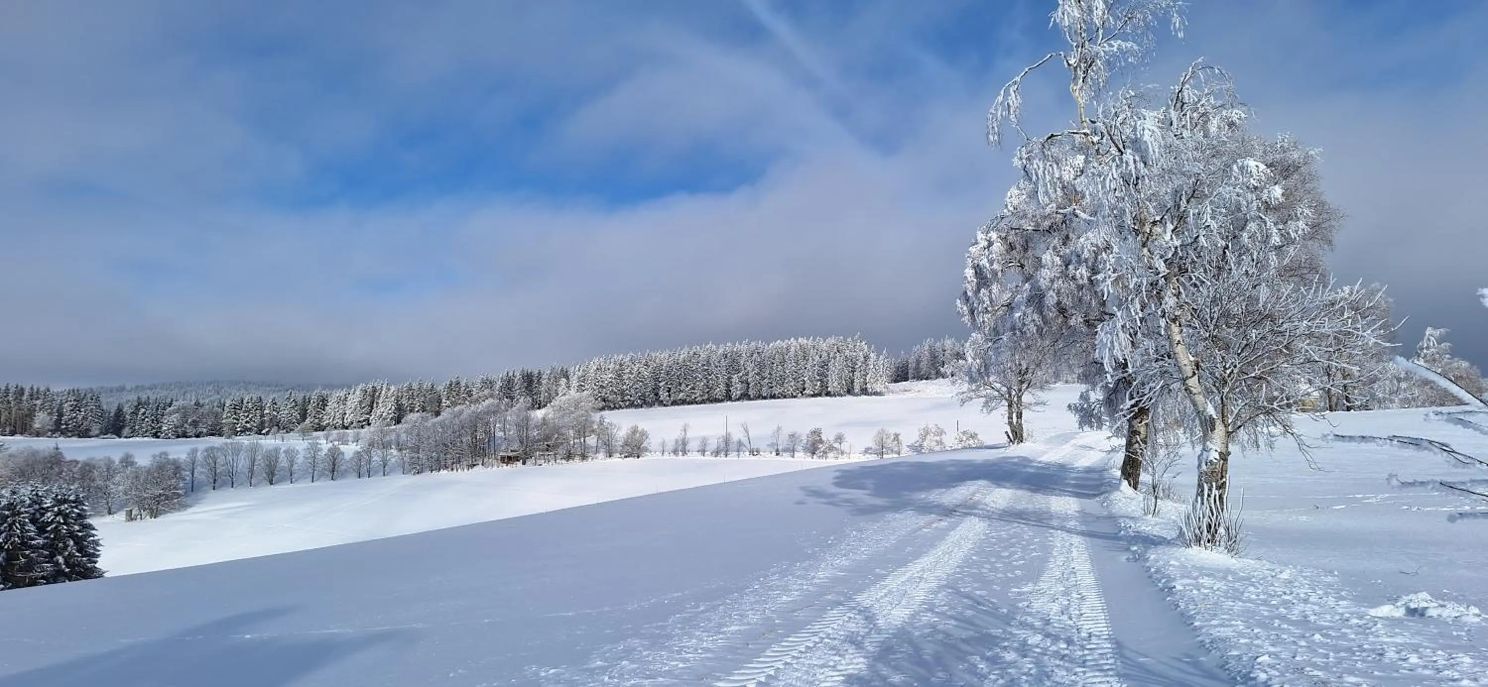 Natural landscape in Landhaus Gnacke