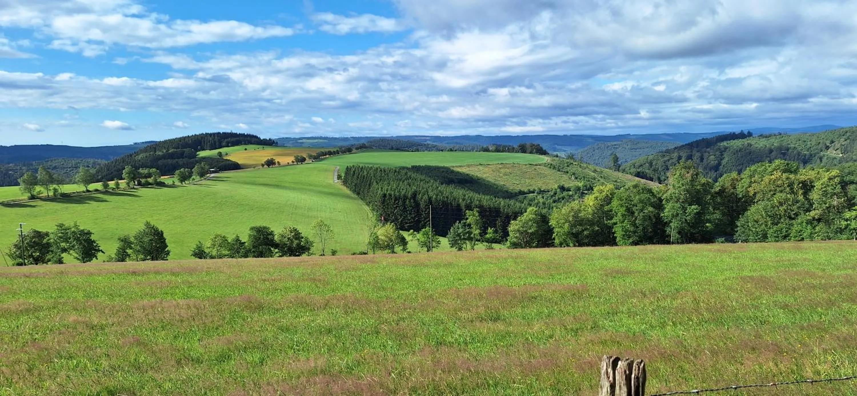 Hiking in Landhaus Gnacke
