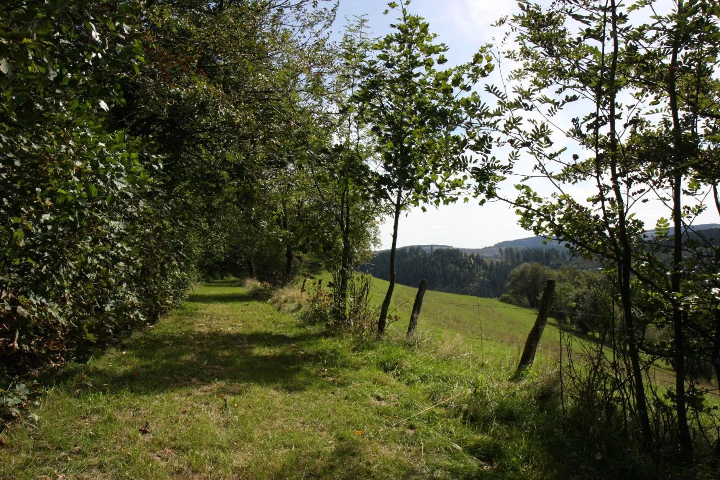 Hiking in Landhaus Gnacke