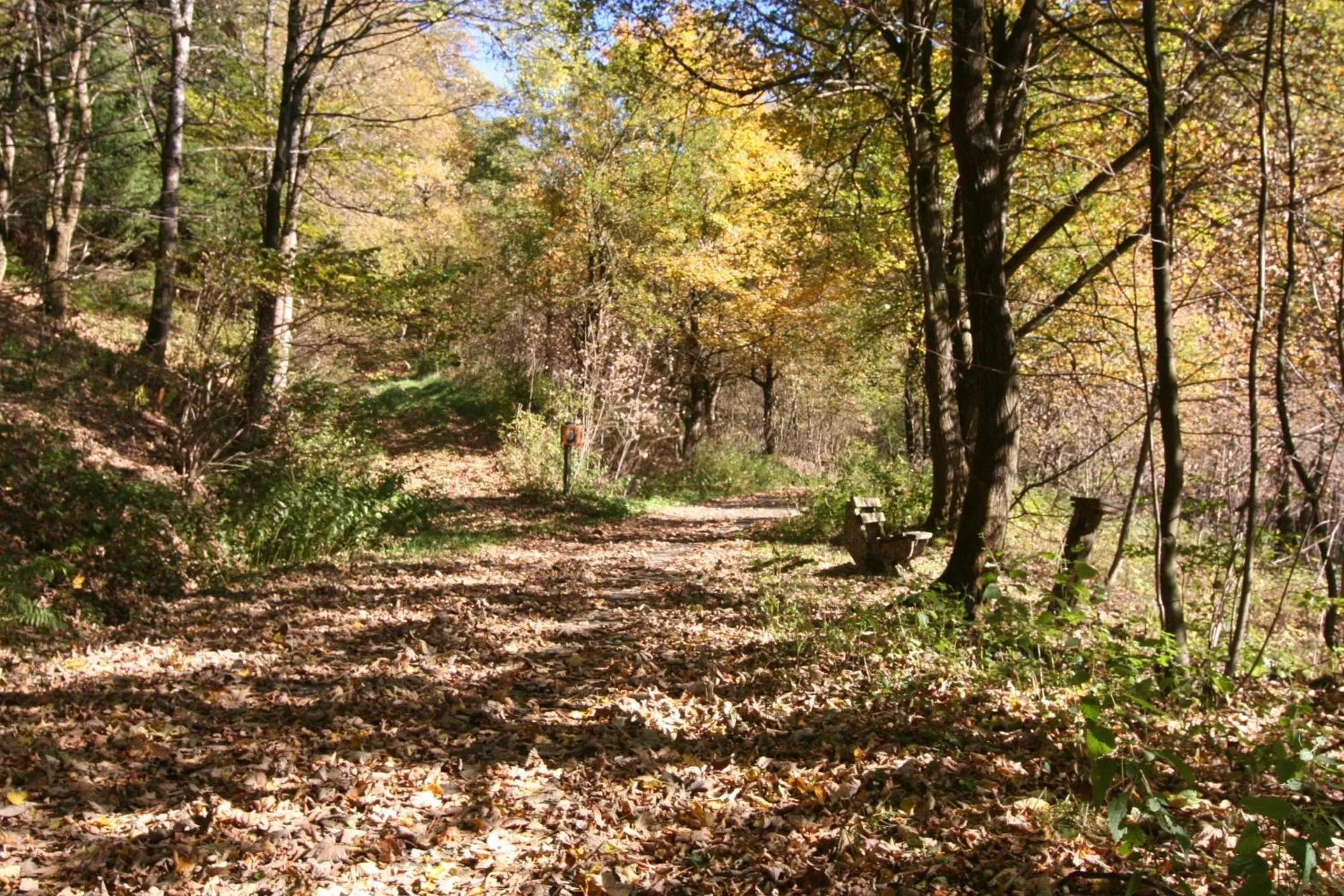 Hiking in Landhaus Gnacke