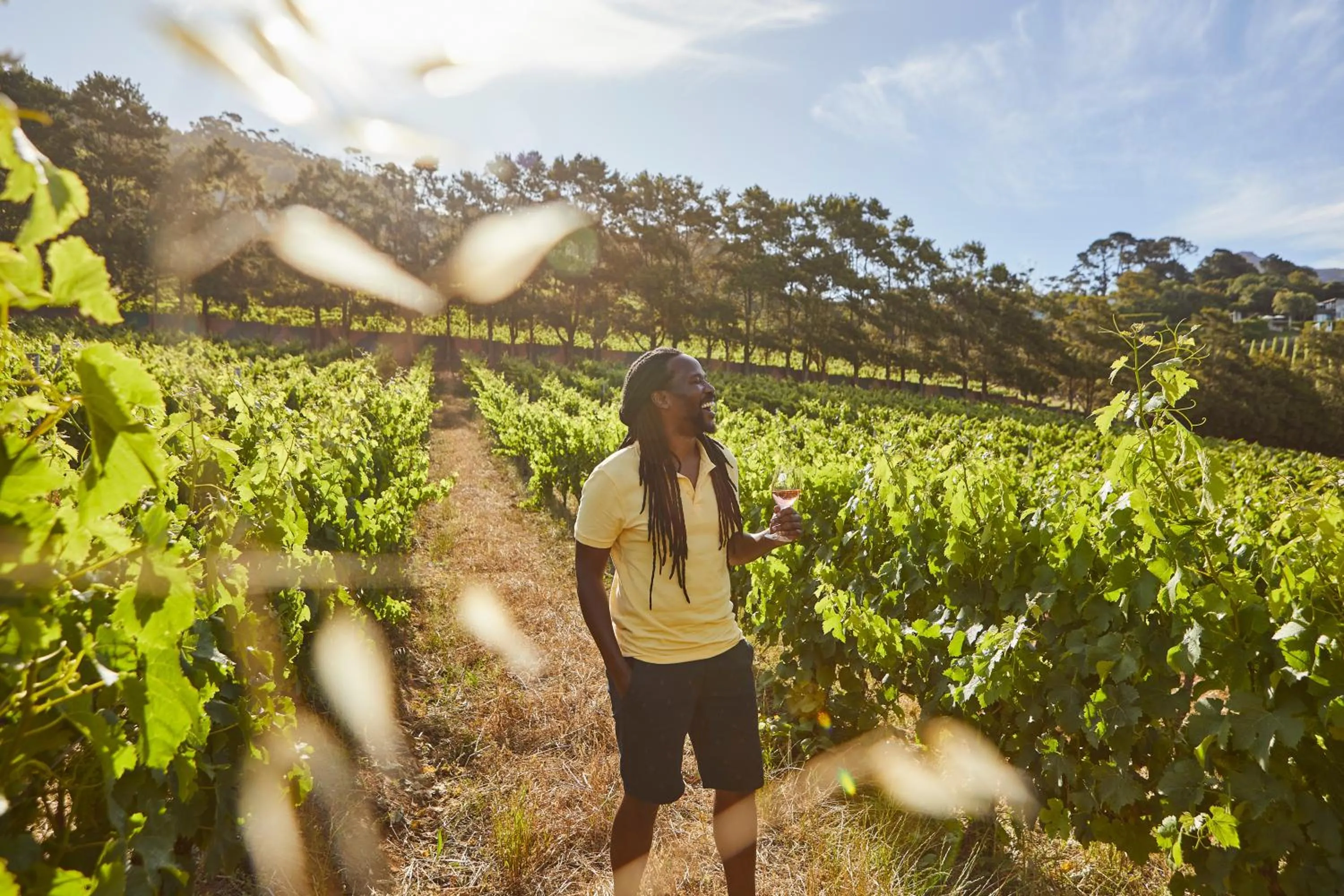 Natural landscape in Protea Hotel by Marriott Stellenbosch & Conference Centre