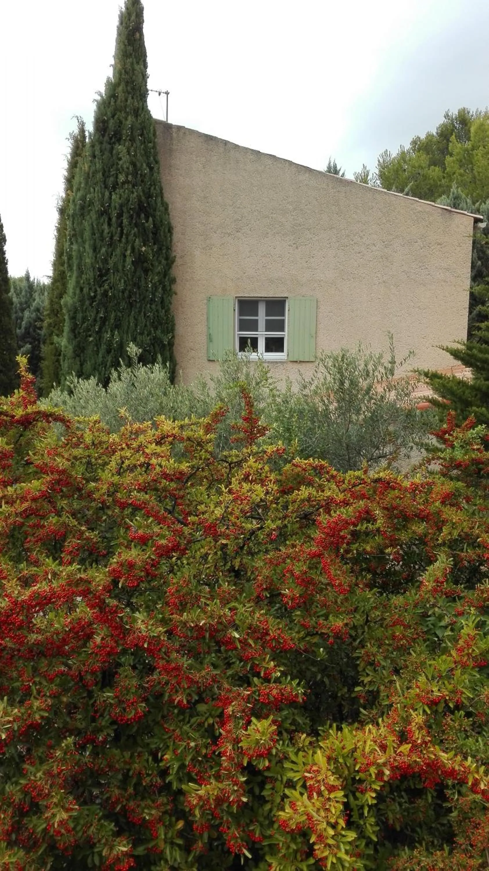 Natural landscape in La Petite Maison de Marie Louise