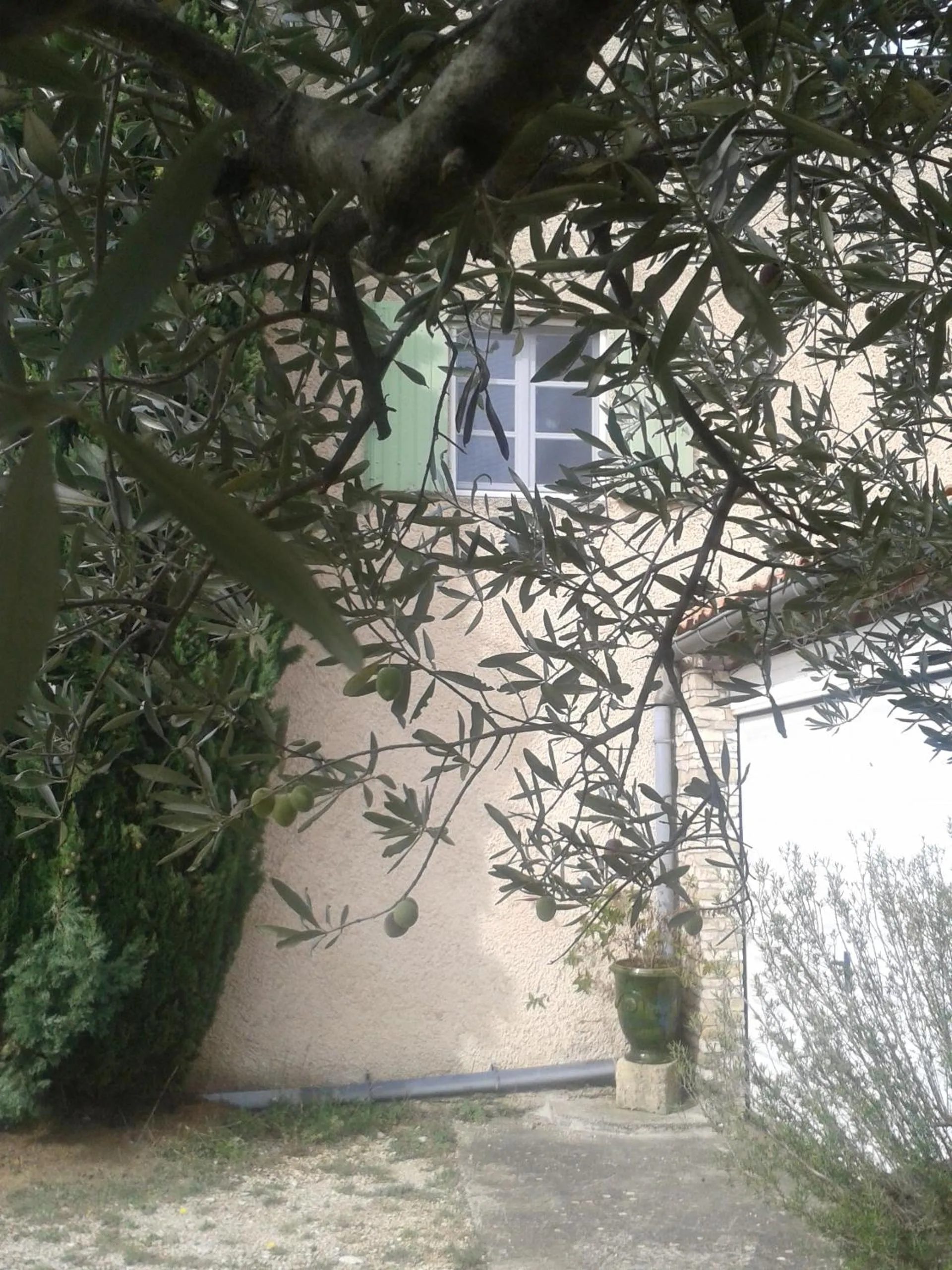 Garden view in La Petite Maison de Marie Louise